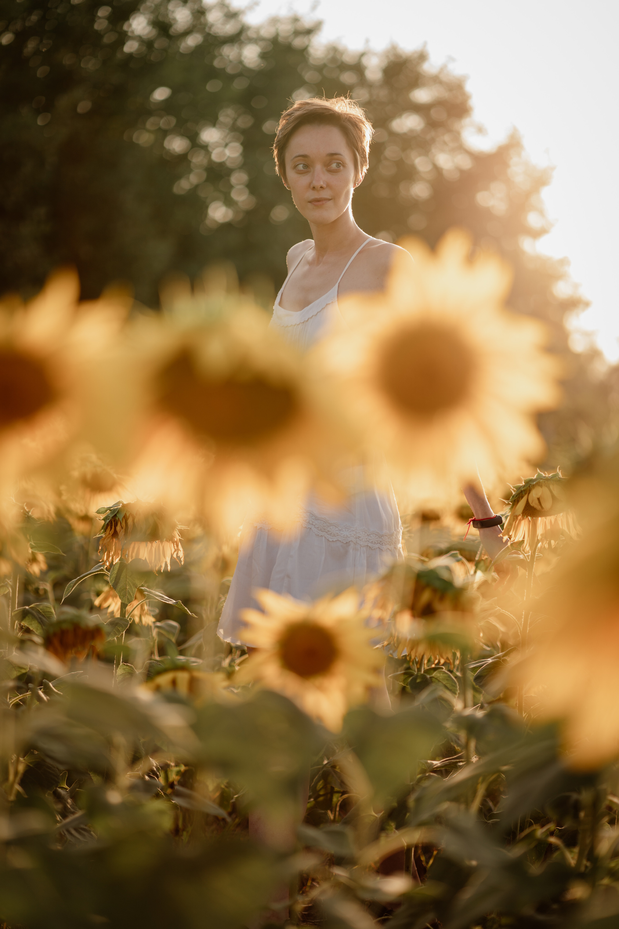 Анна и подсолнухи. Мира Назарова / Фотограф / Специалист по личному