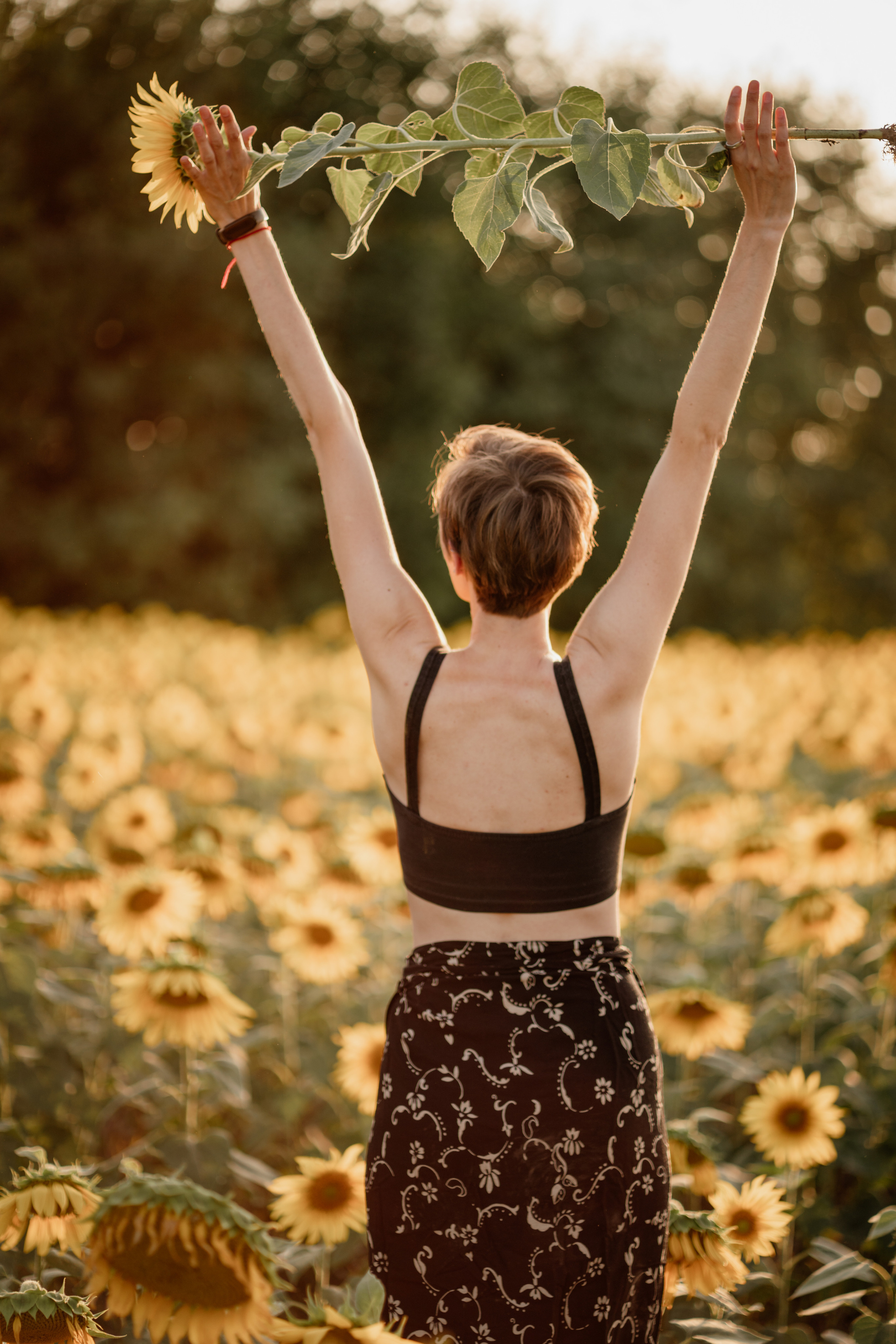 Анна и подсолнухи. Мира Назарова / Фотограф / Специалист по личному