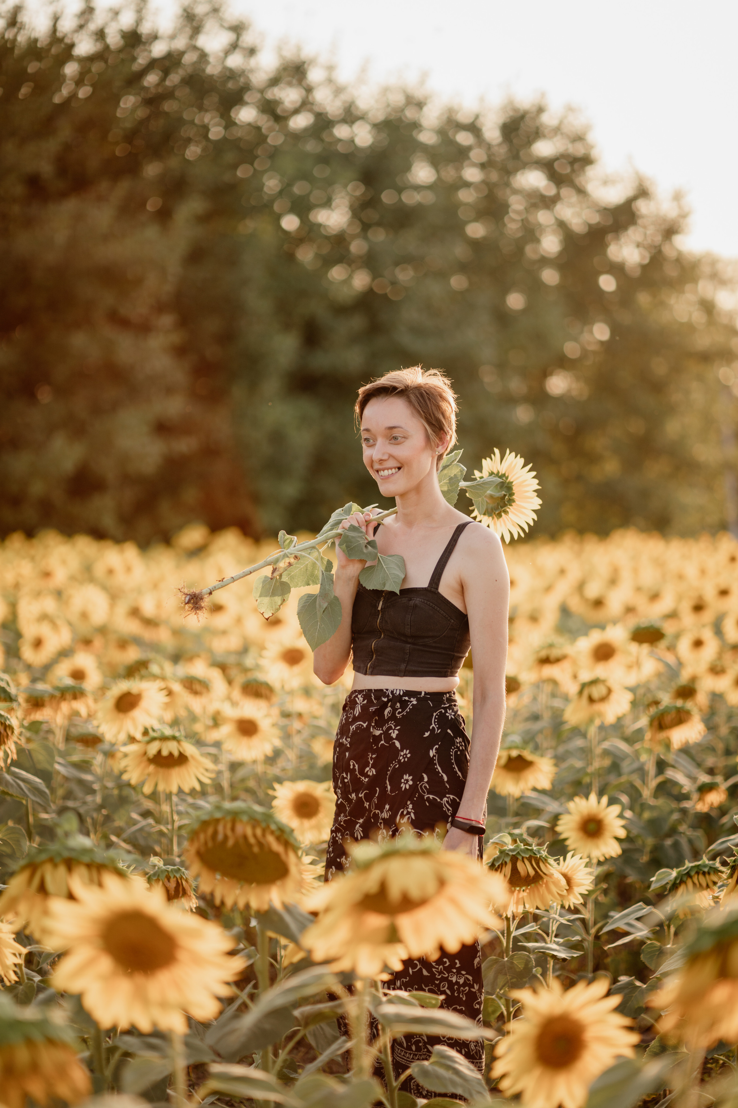 Анна и подсолнухи. Мира Назарова / Фотограф / Специалист по личному