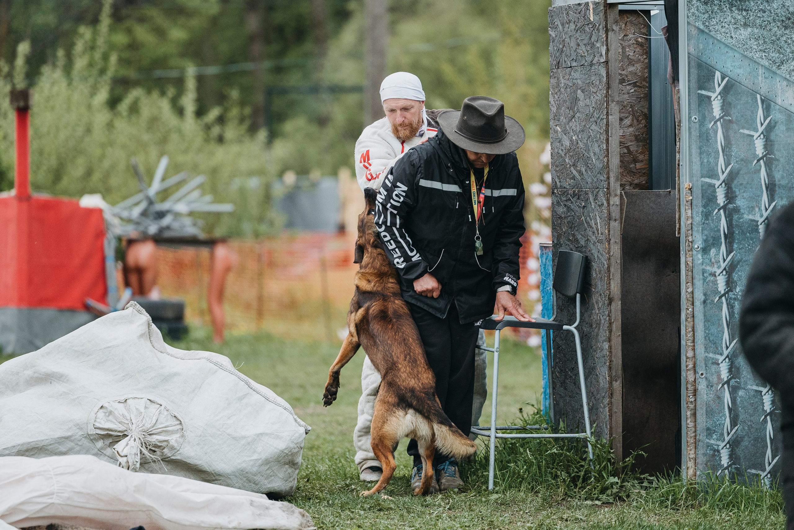26.05.25 г. Пушкин квалификационные соревнования. Фотограф-анималист Анна Маринич