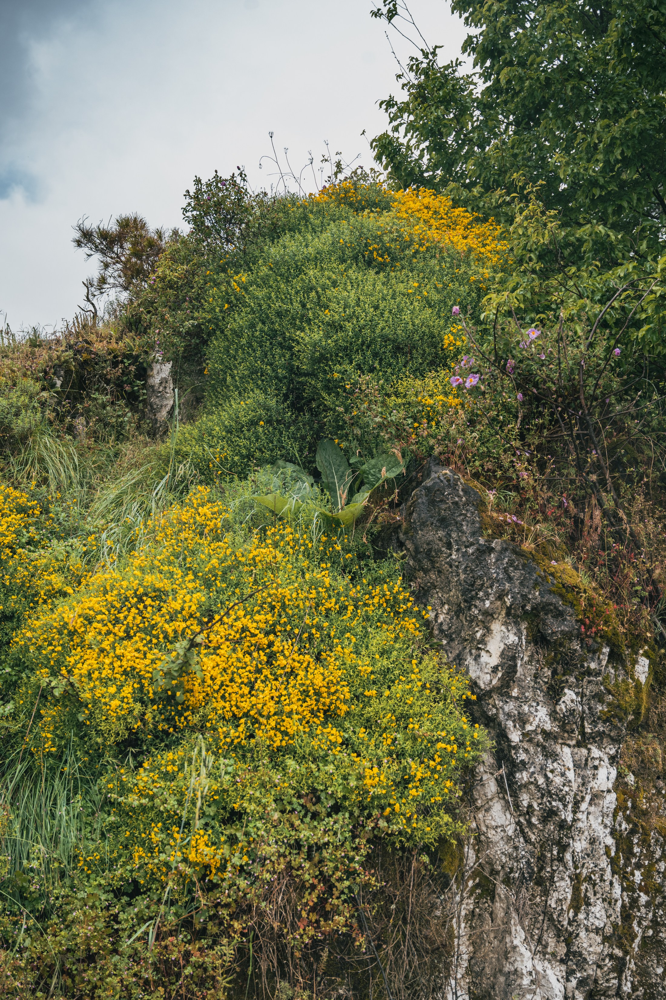 СКАДАРСКОЕ ОЗЕРО. ЧЕРНОГОРИЯ. Фотограф в Белграде Чугреева Елена