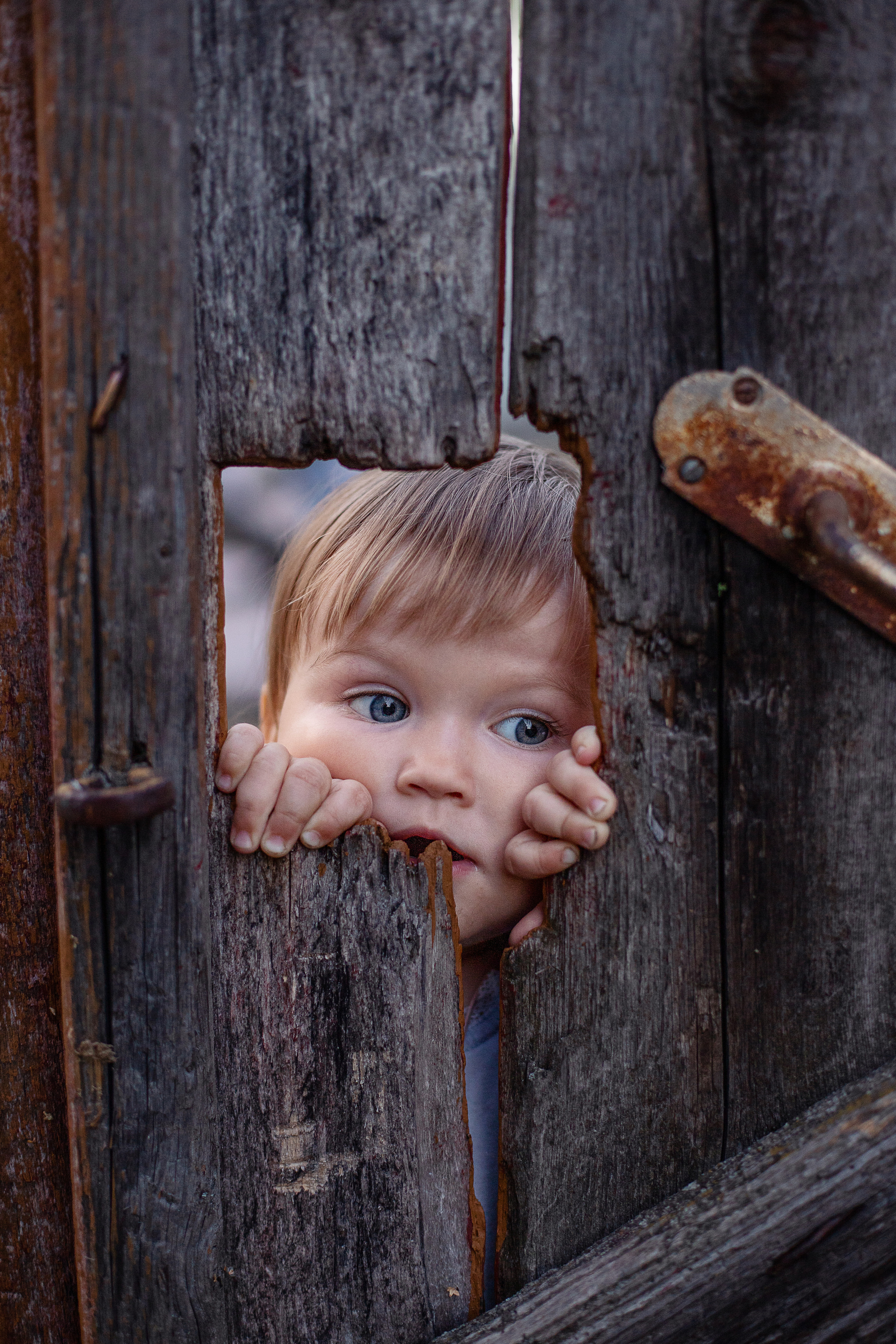 Детский и семейный фотограф Татьяна Белевцова