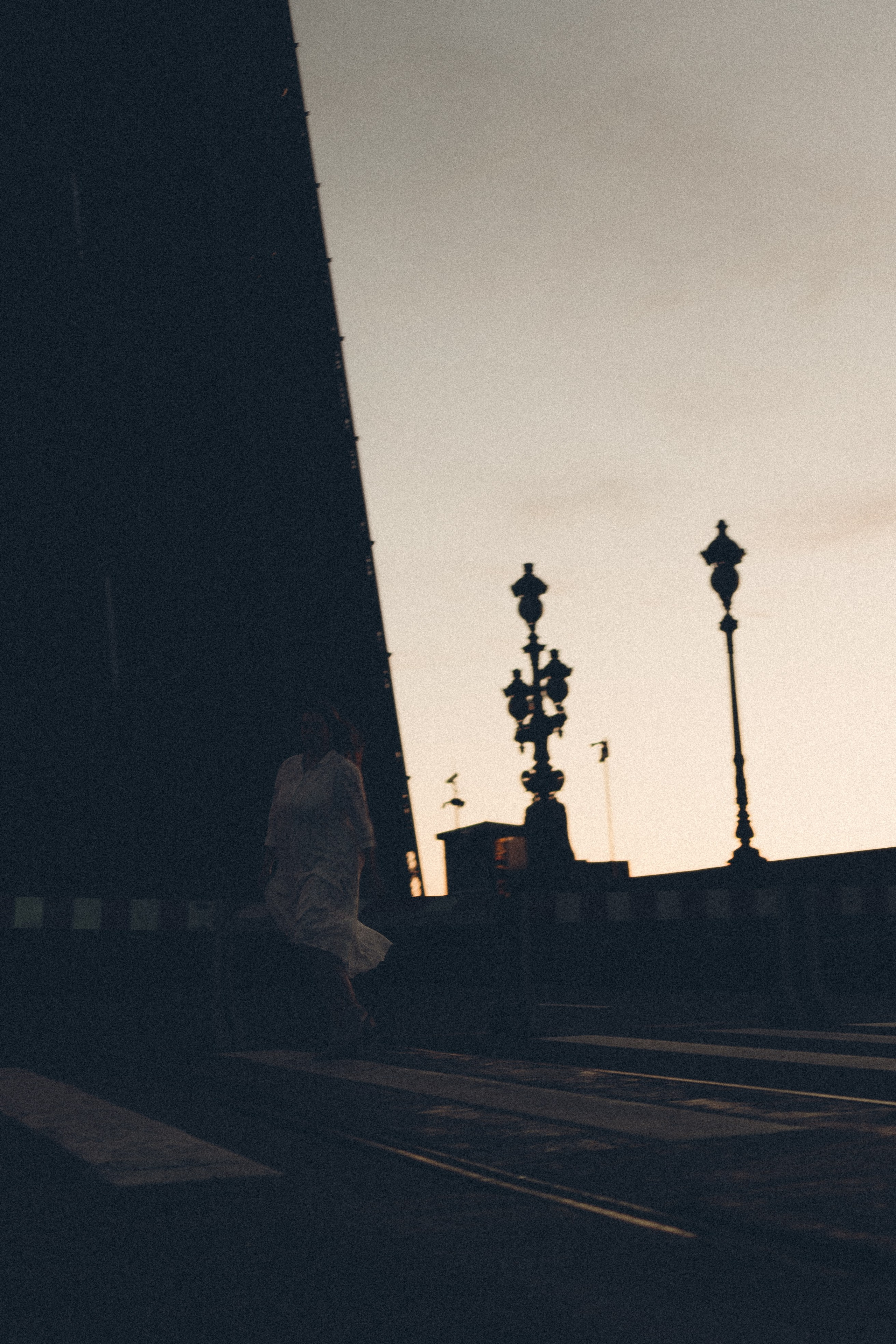 РАССВЕТ С РАЗВОДНЫМИ МОСТАМИ. Профессиональный фотограф, Санкт-Петербург — Виктория Богомолова