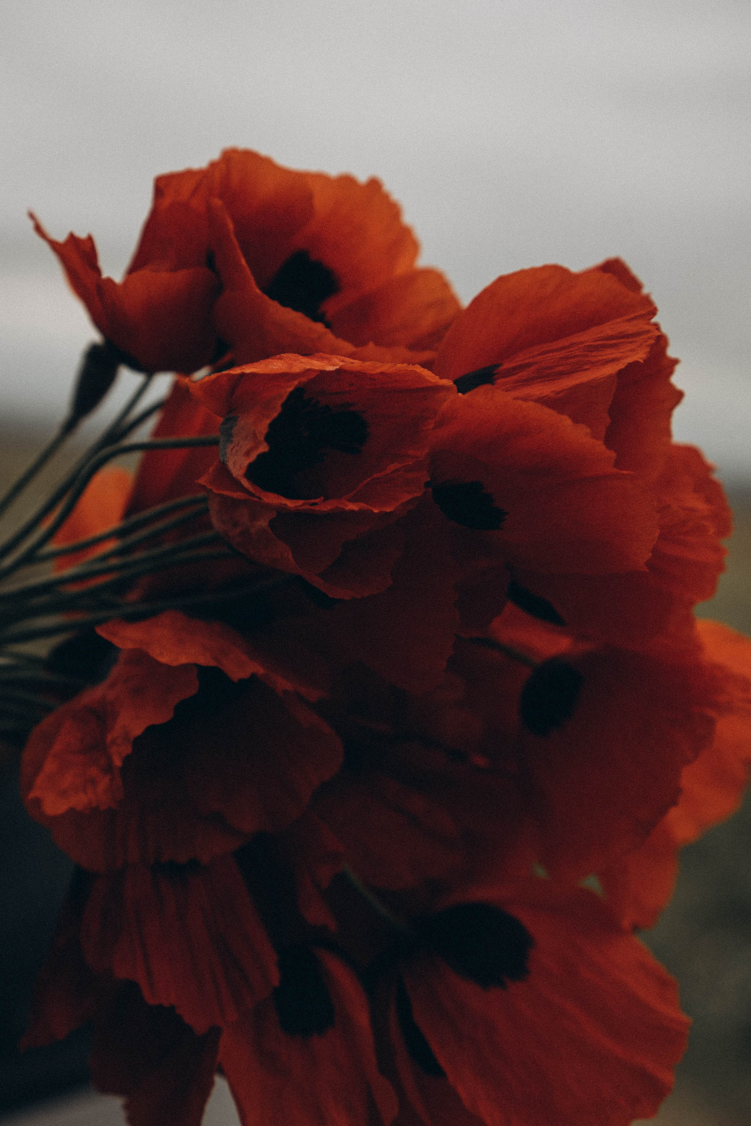 Путешествие в Дагестане. Профессиональный фотограф, Санкт-Петербург — Виктория Богомолова