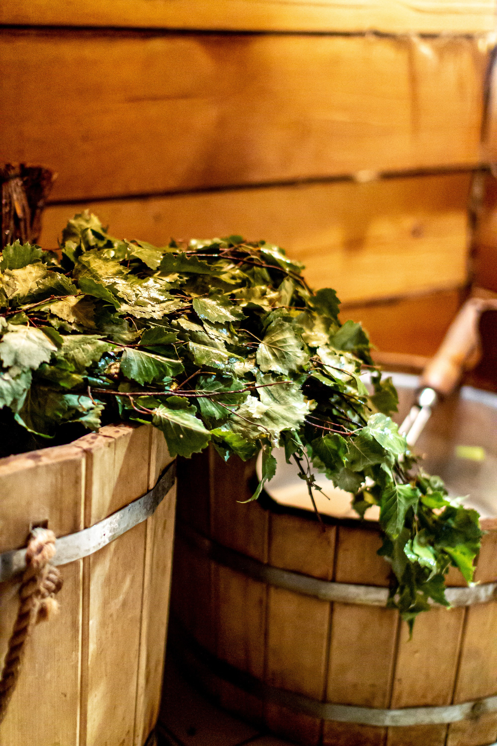 Женские мероприятия. НАСТИН ВЕТЕР — фотографии о тебе Анастасия Карнаухова — фотограф твоей личности