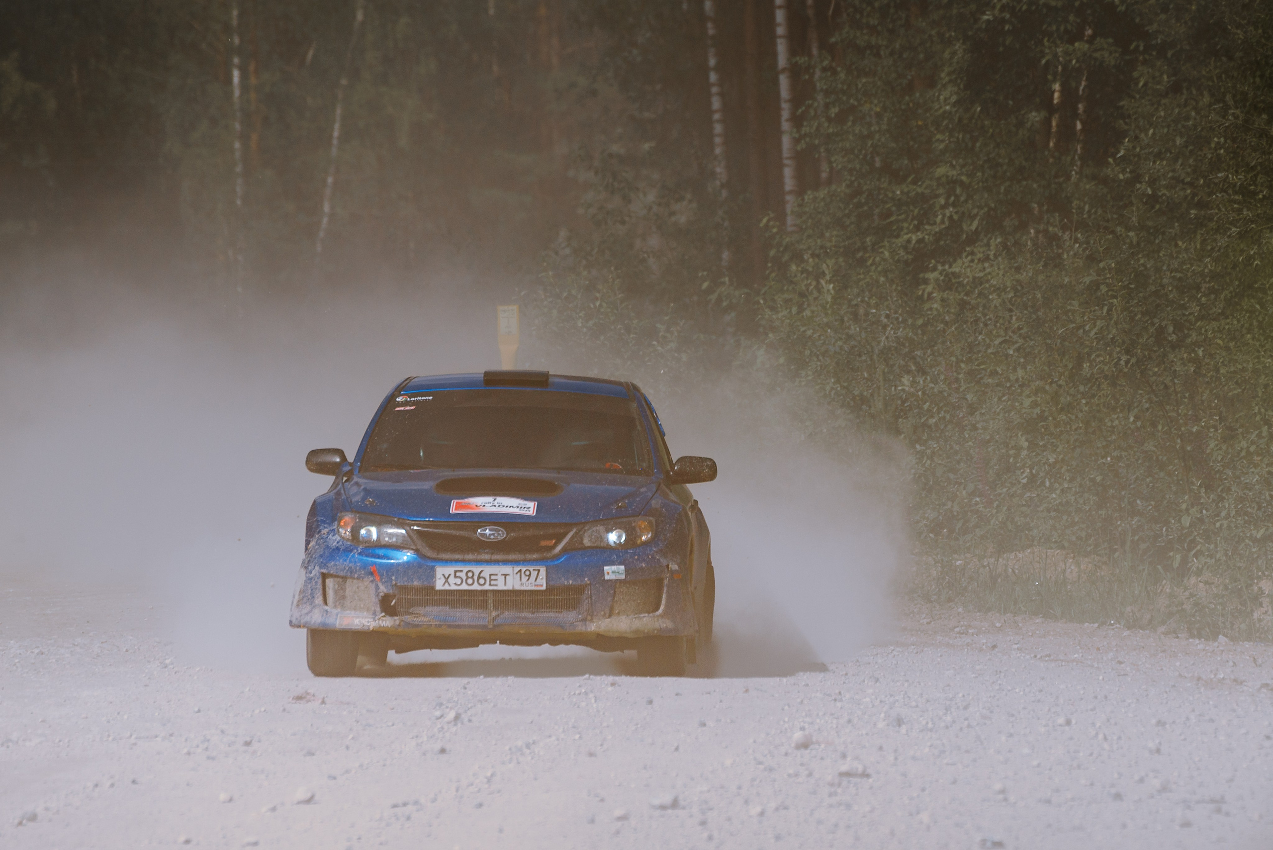 2023 Этап ралли Open Rally Cup «Золотые Ворота». Елена Чеснокова спортивный фотограф во Владимире и Белграде