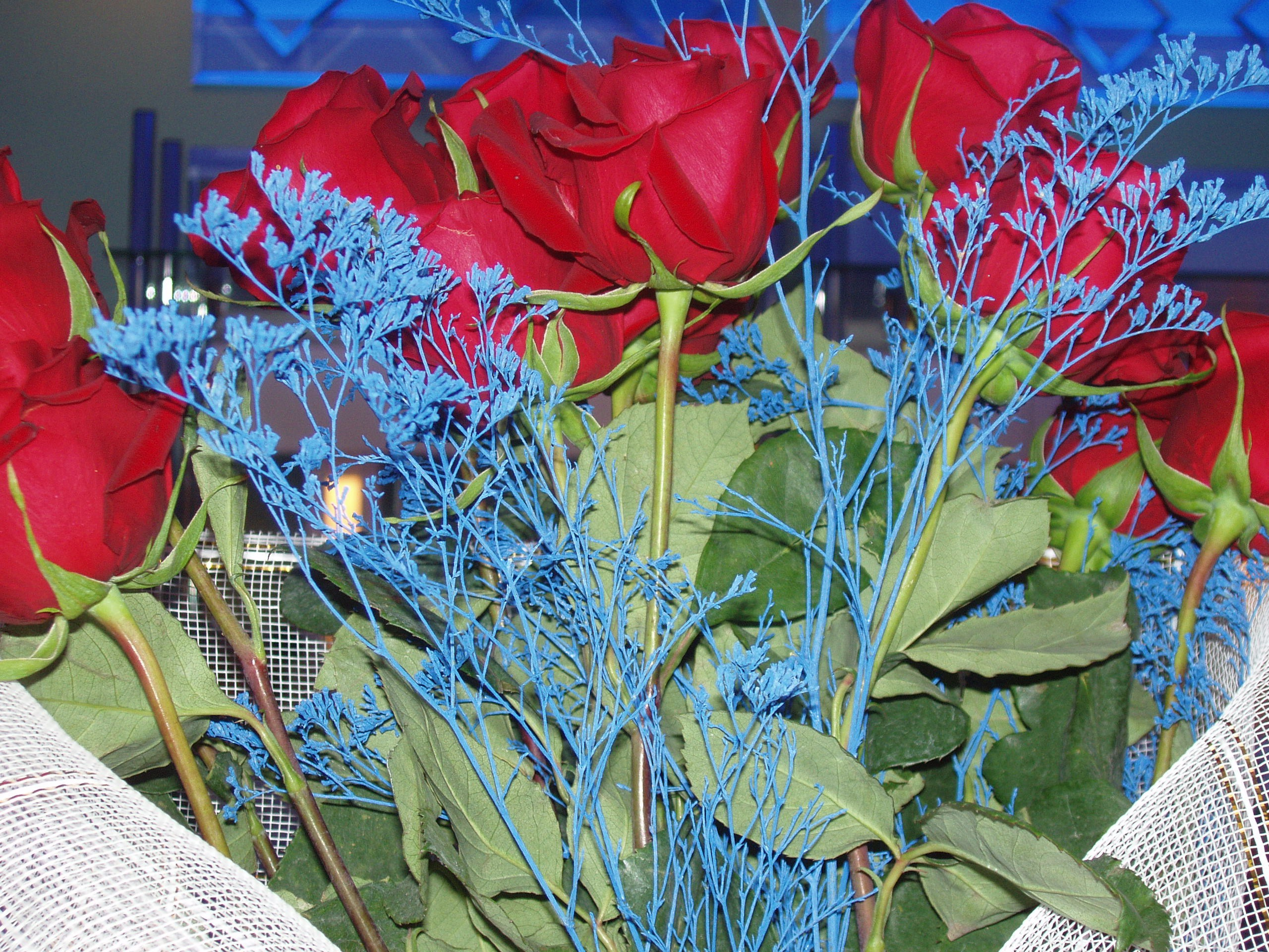 31.03.2006 Нине 60 лет. Семейный, Свадебный фотограф СПБ Питер— Романова Екатерина