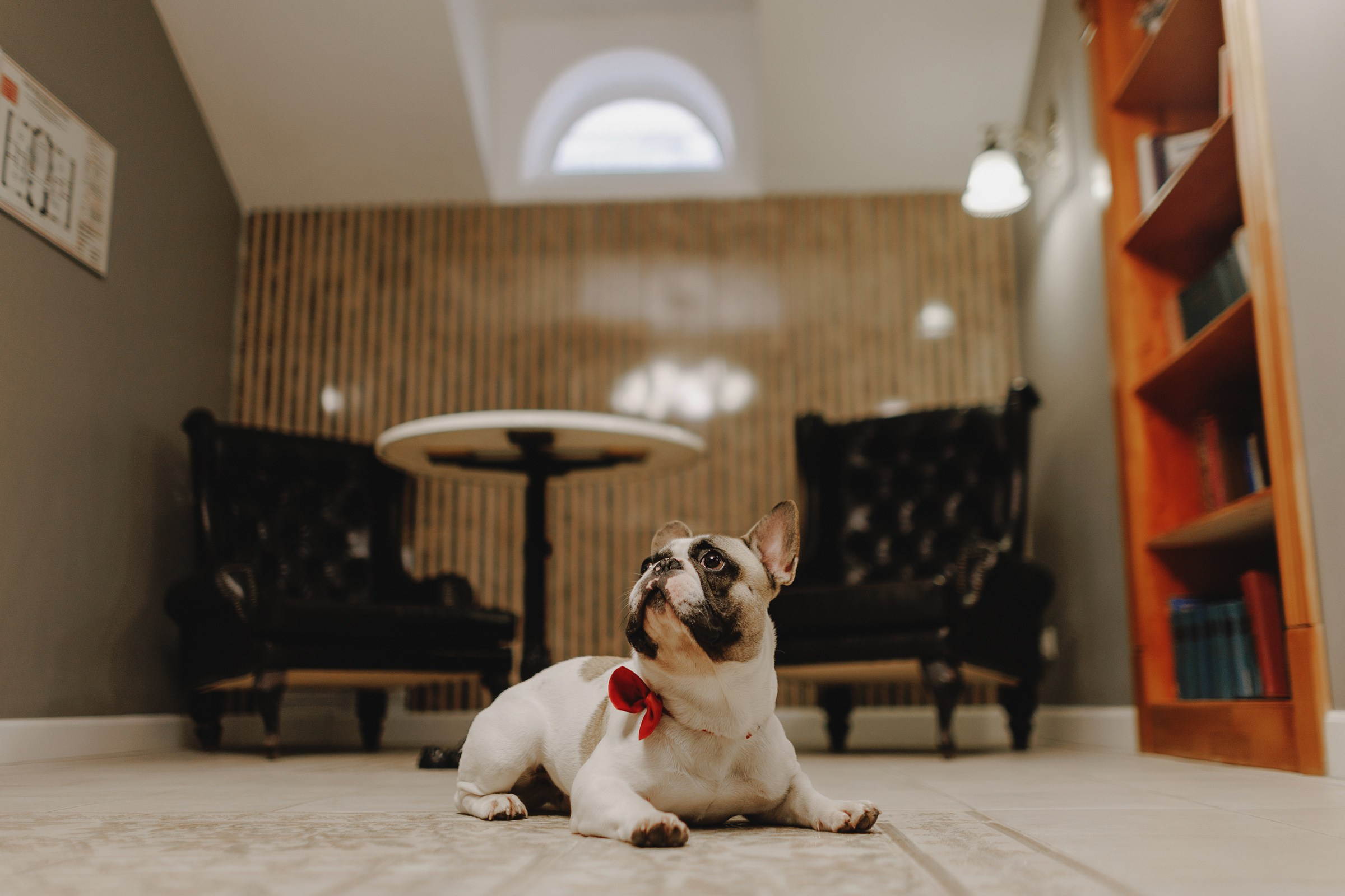 Александр Виктория. Свадебный фотограф и видеограф Дмитрий Горяченков