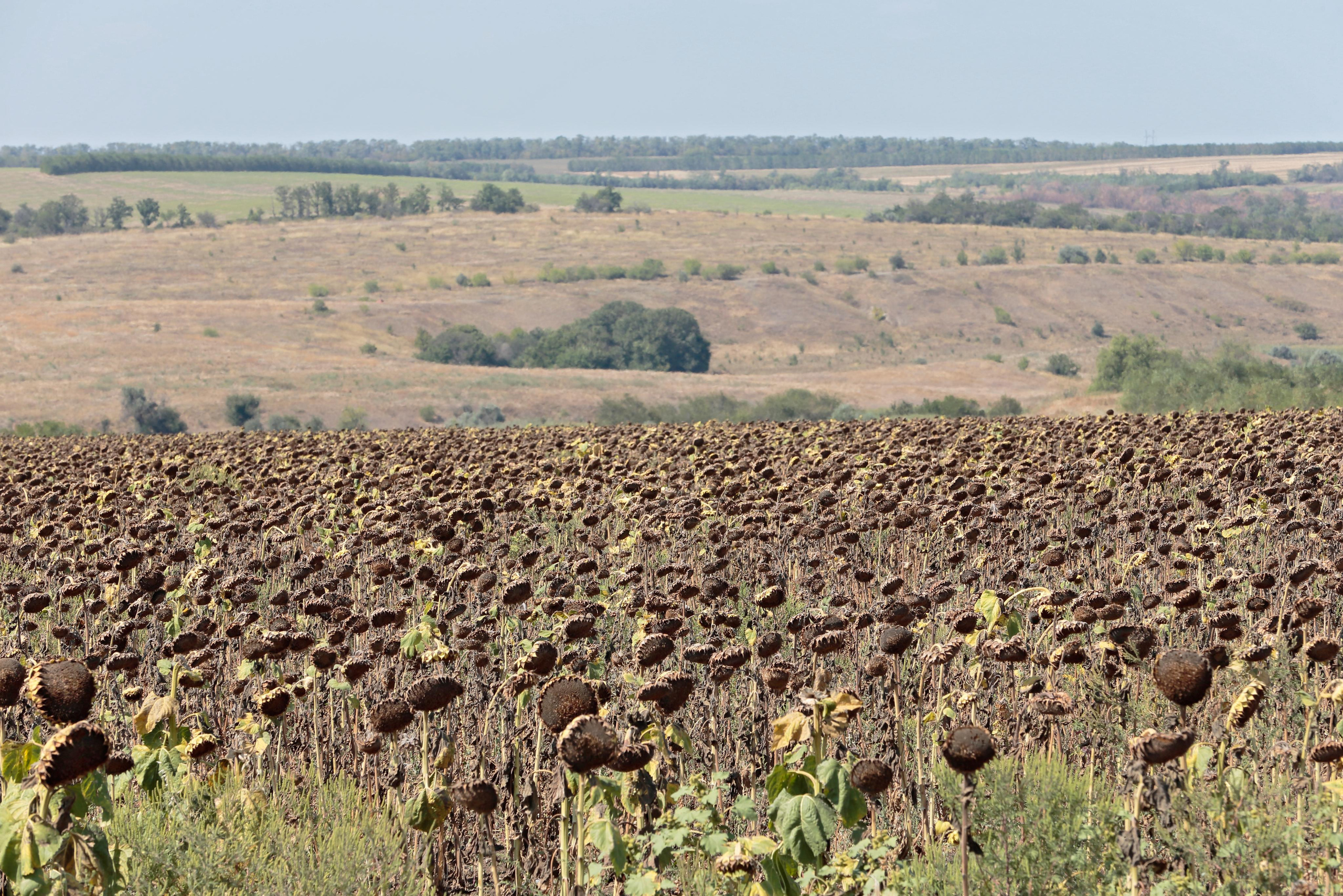 Юг России. Попов.фото — Предметная фотостудия в Новой Москве