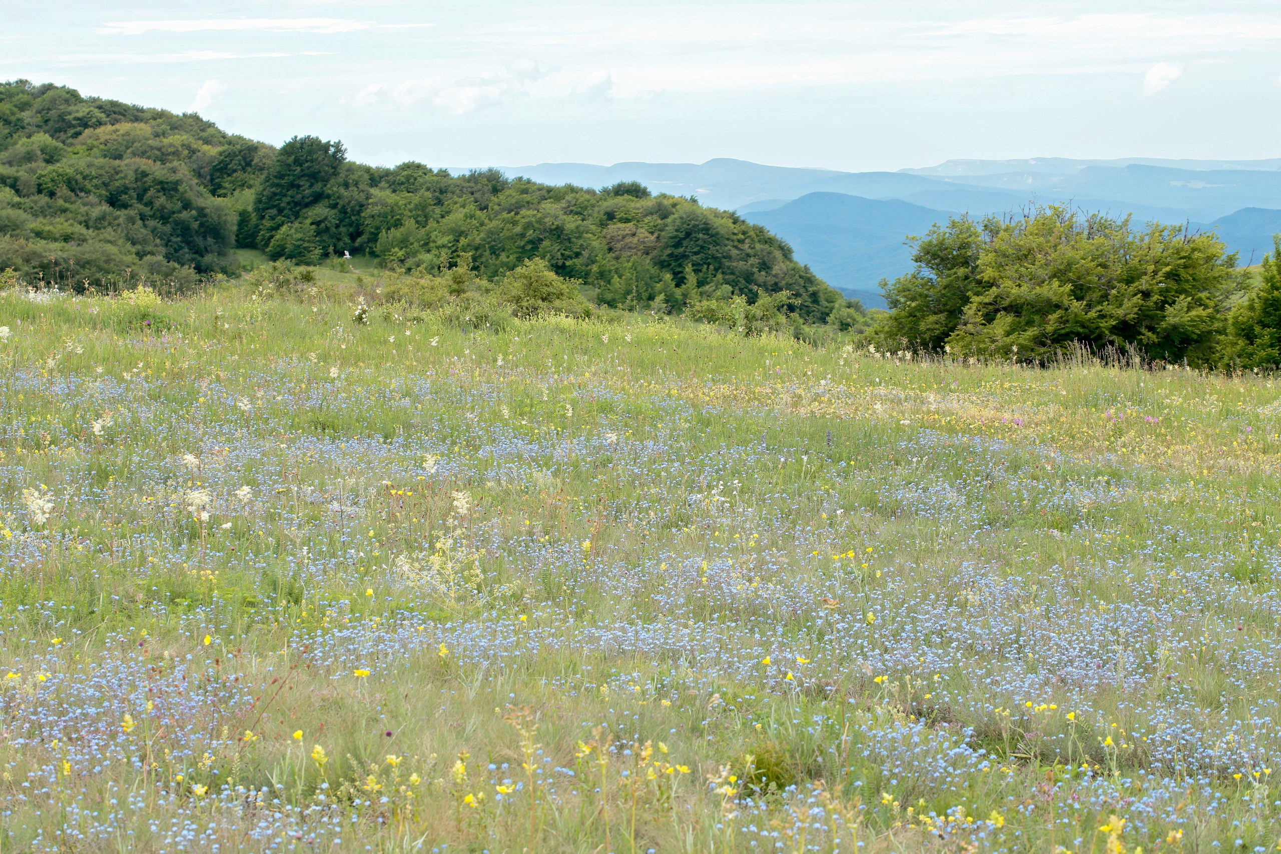 Крым. Попов.фото — Предметная фотостудия в Новой Москве