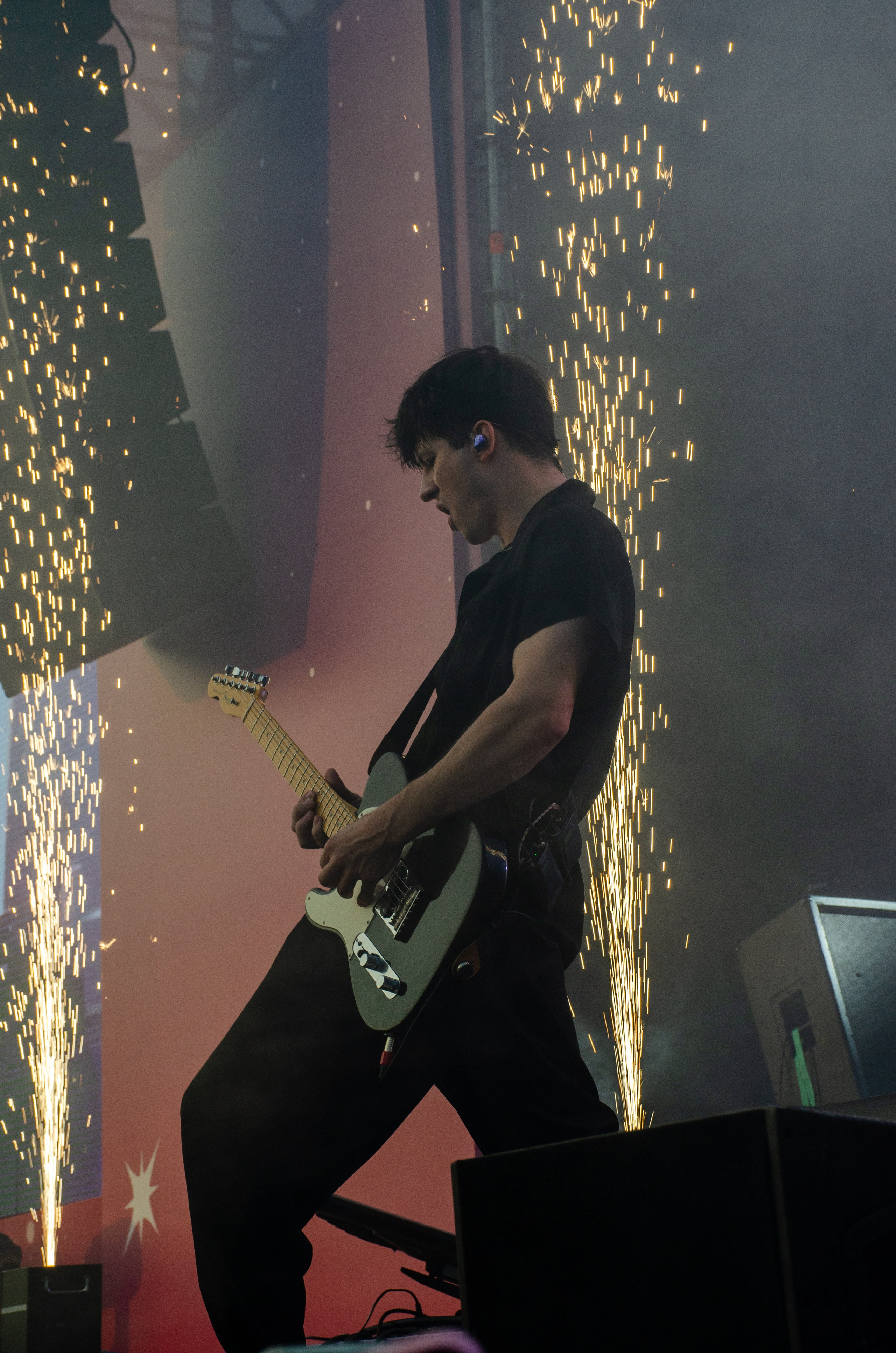 Черника Фест Ramil'. Фотограф Универсал в Новосибирске