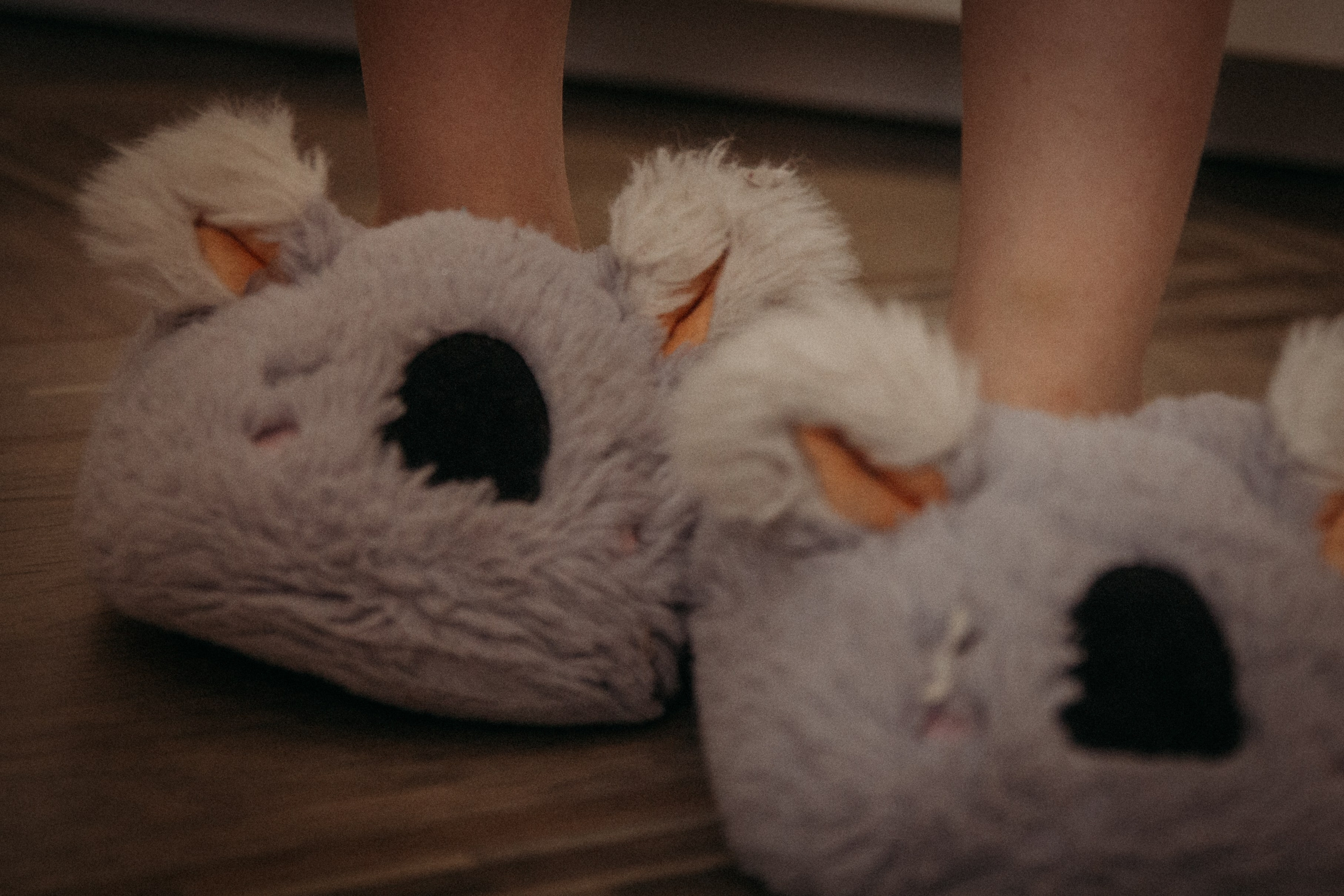 Вместе лучше. Семейный фотограф Наталия Книппенберг