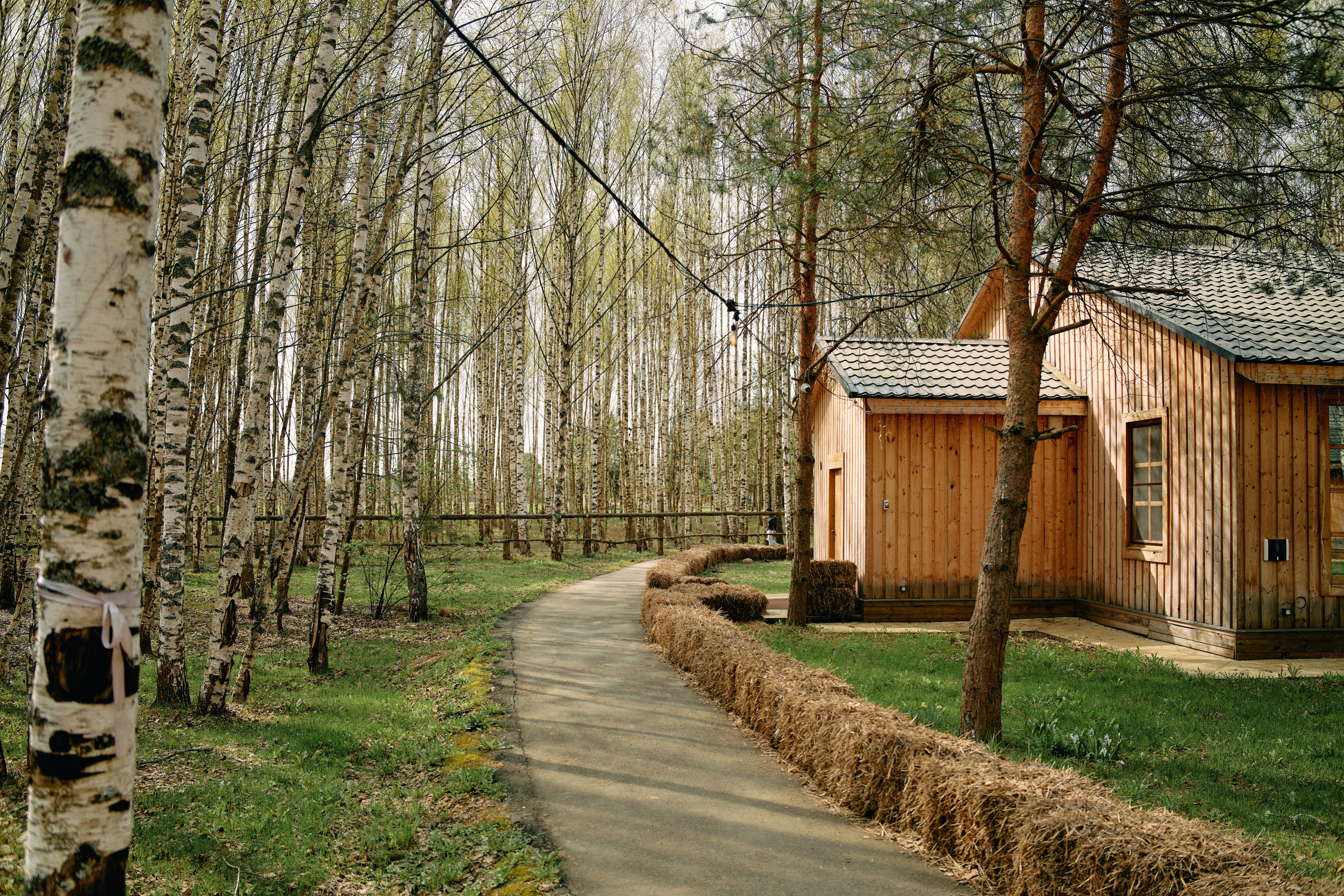 Бутик-отель Поле летом. Профессиональный Фотограф во Владимире, в Москве и в Суздале — Полина Романычева