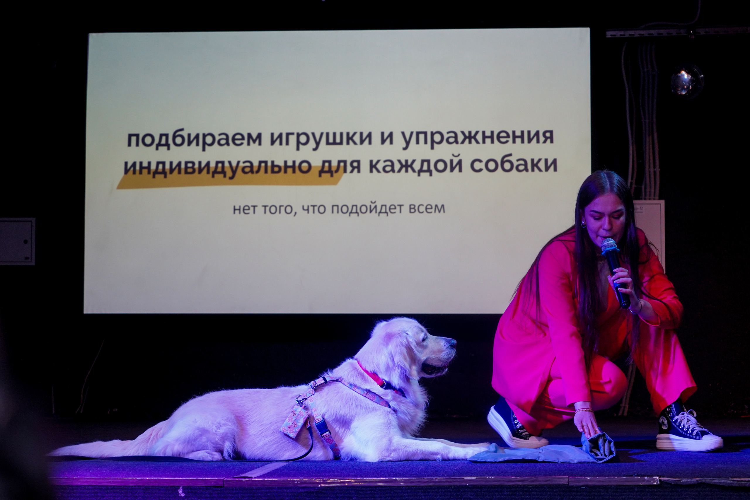 Песолекторий. Главная