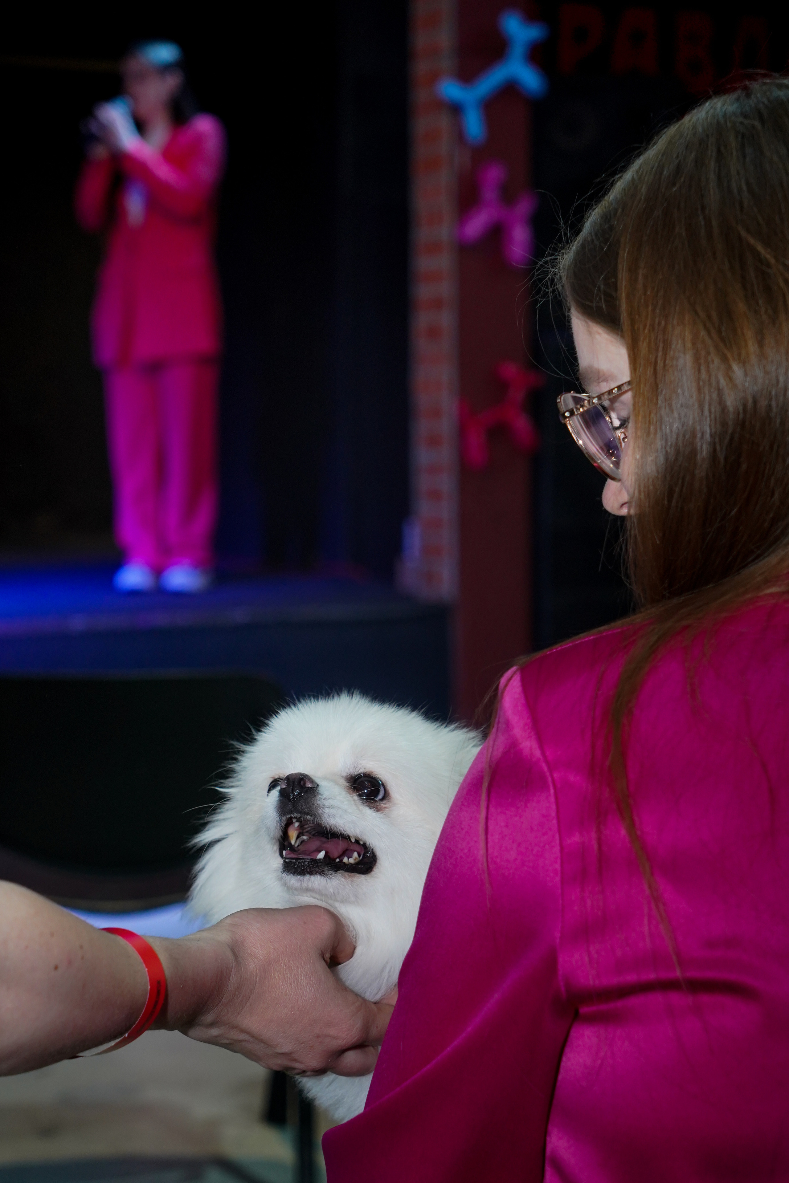 Песолекторий. Главная