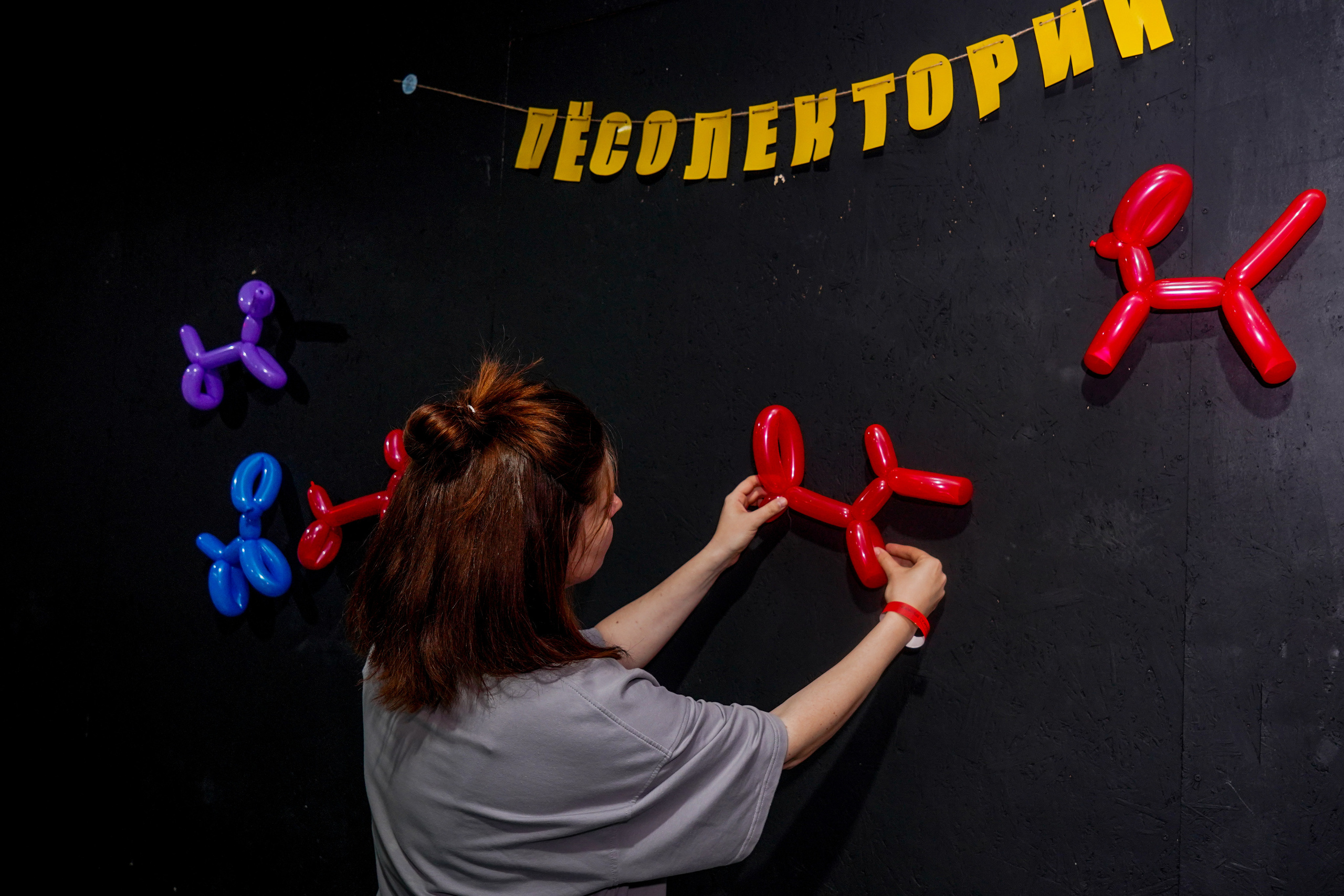 Песолекторий. Главная