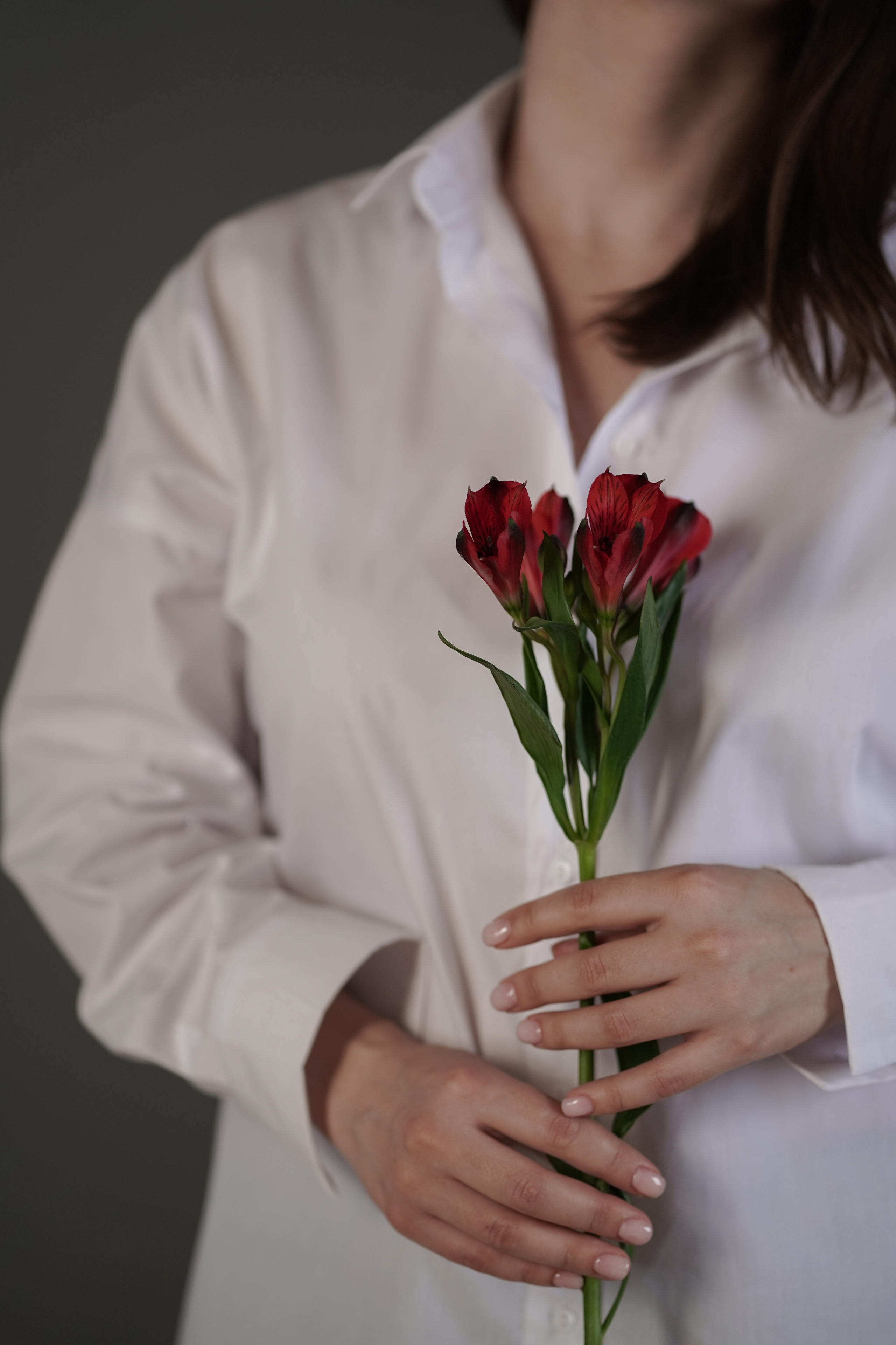 Лида. Главная