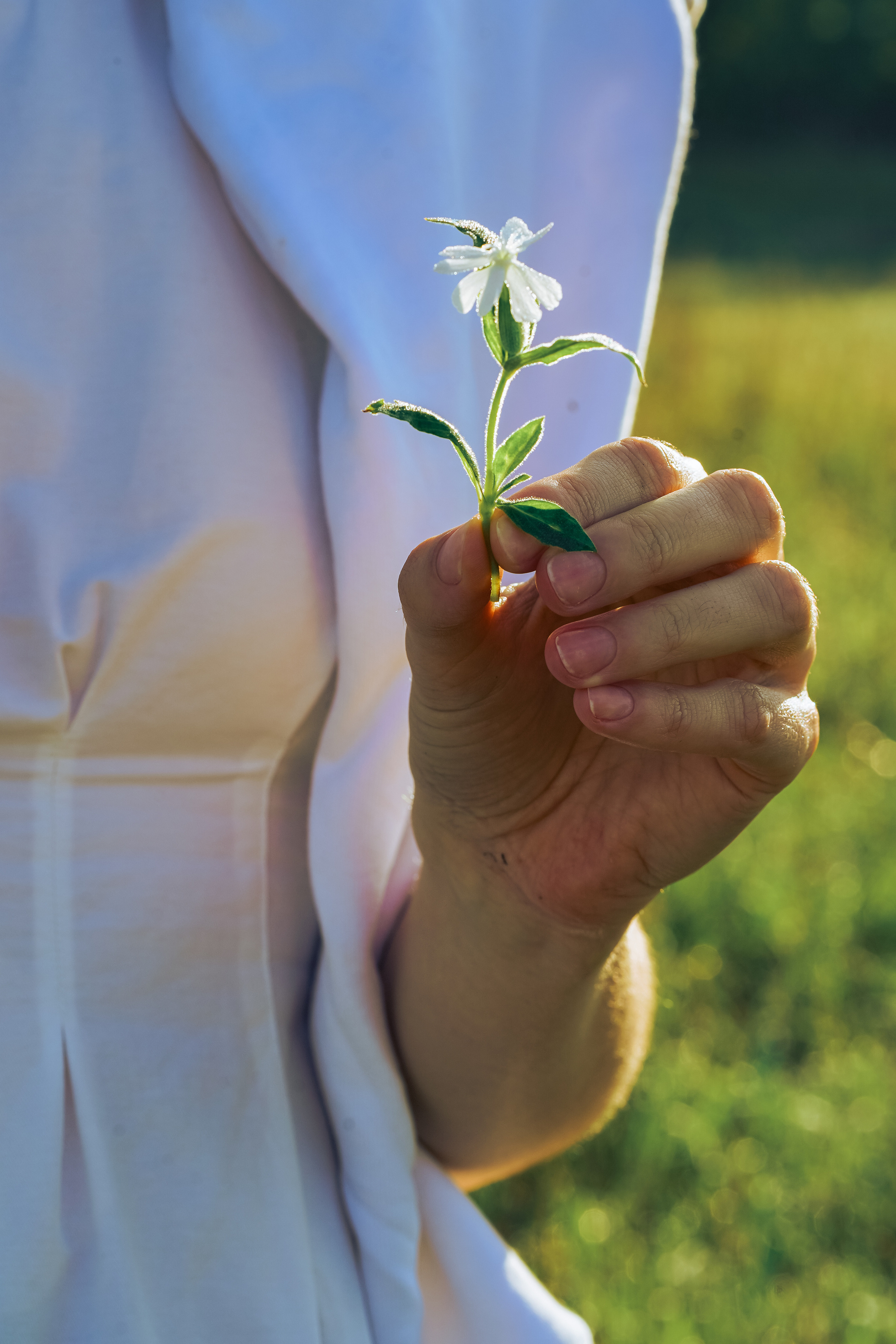 Настя. Главная
