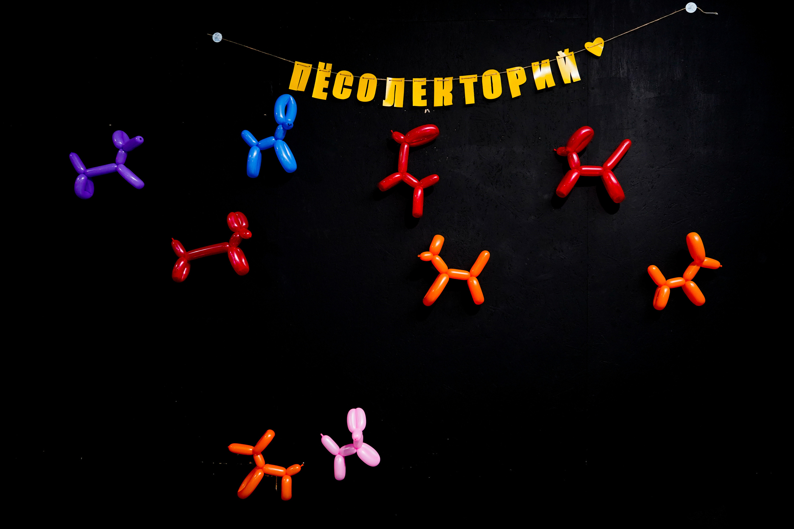 Песолекторий. Главная