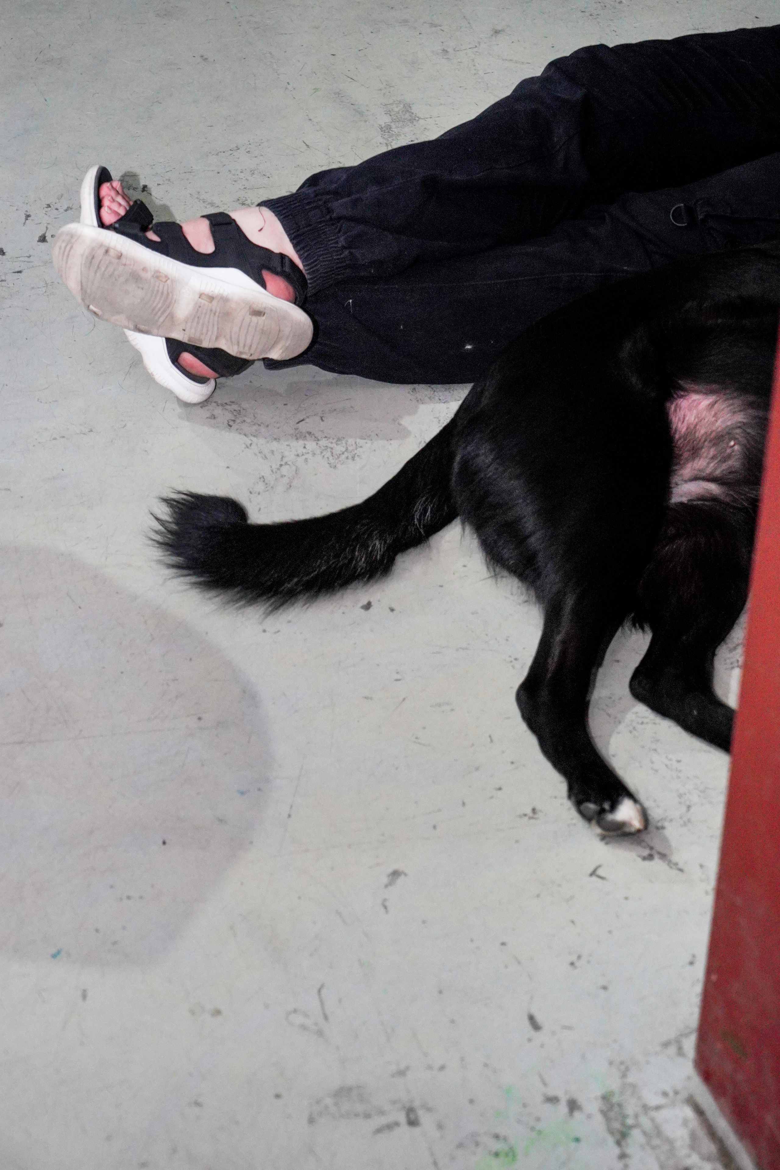 Песолекторий. Главная