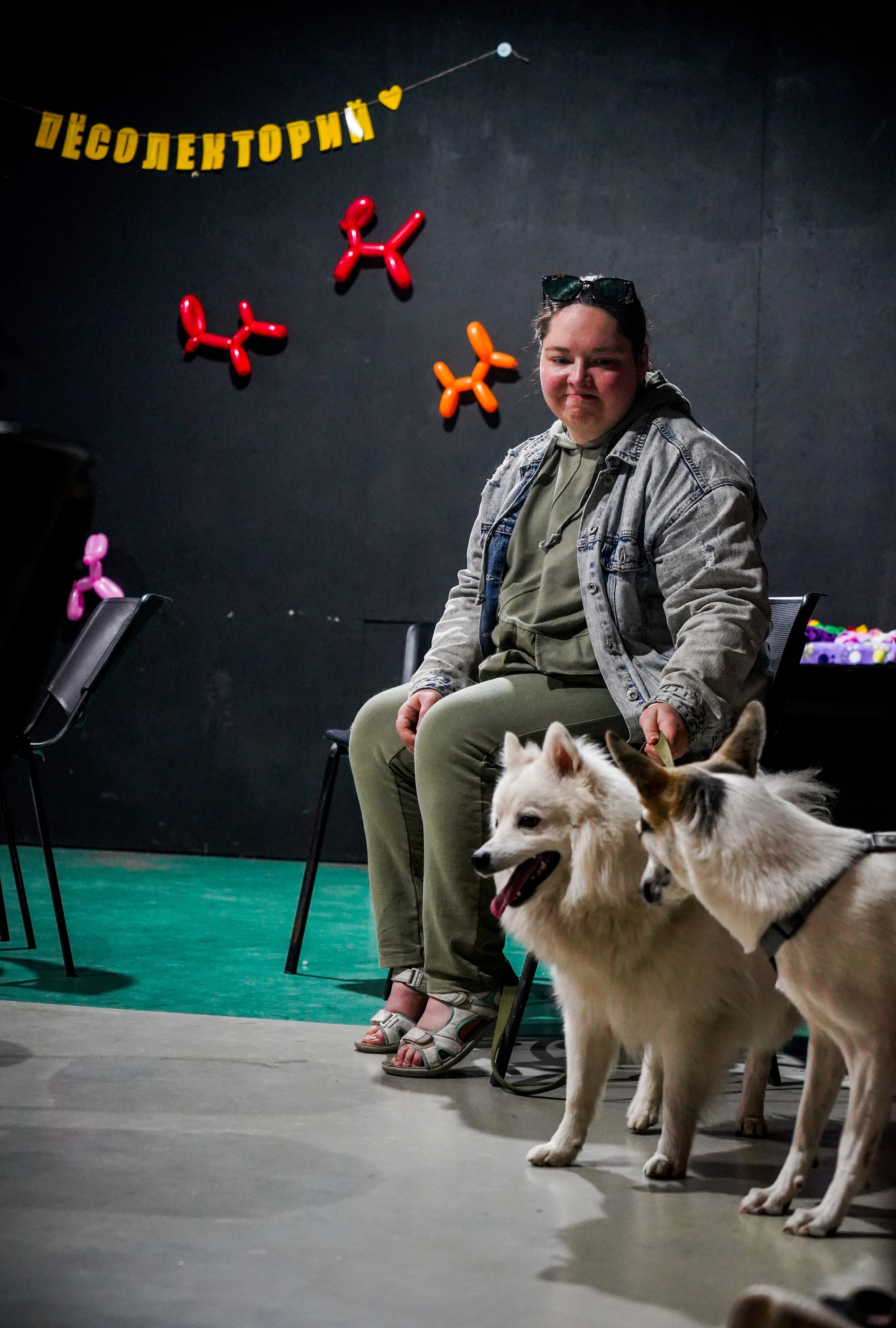 Песолекторий. Главная