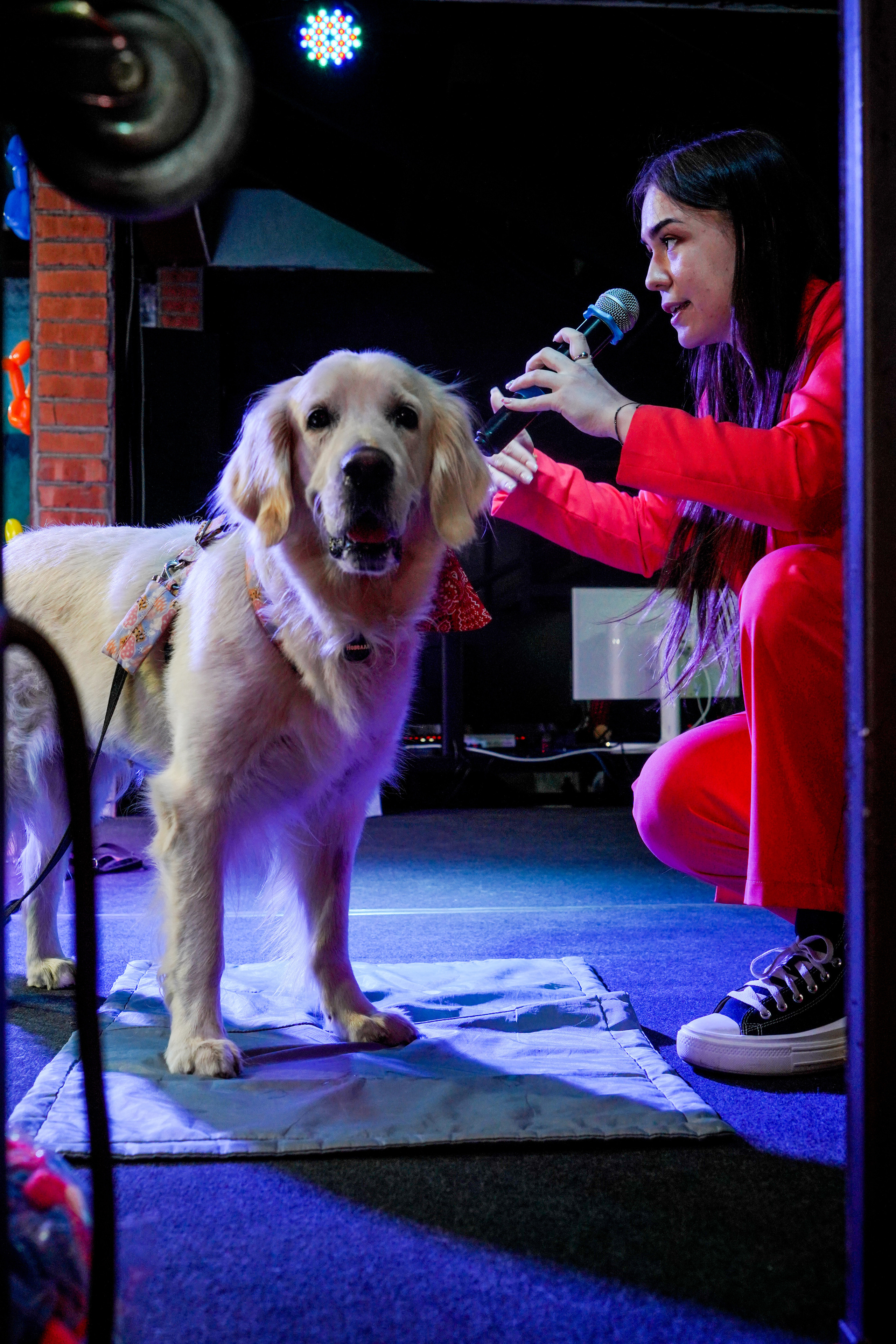 Песолекторий. Главная