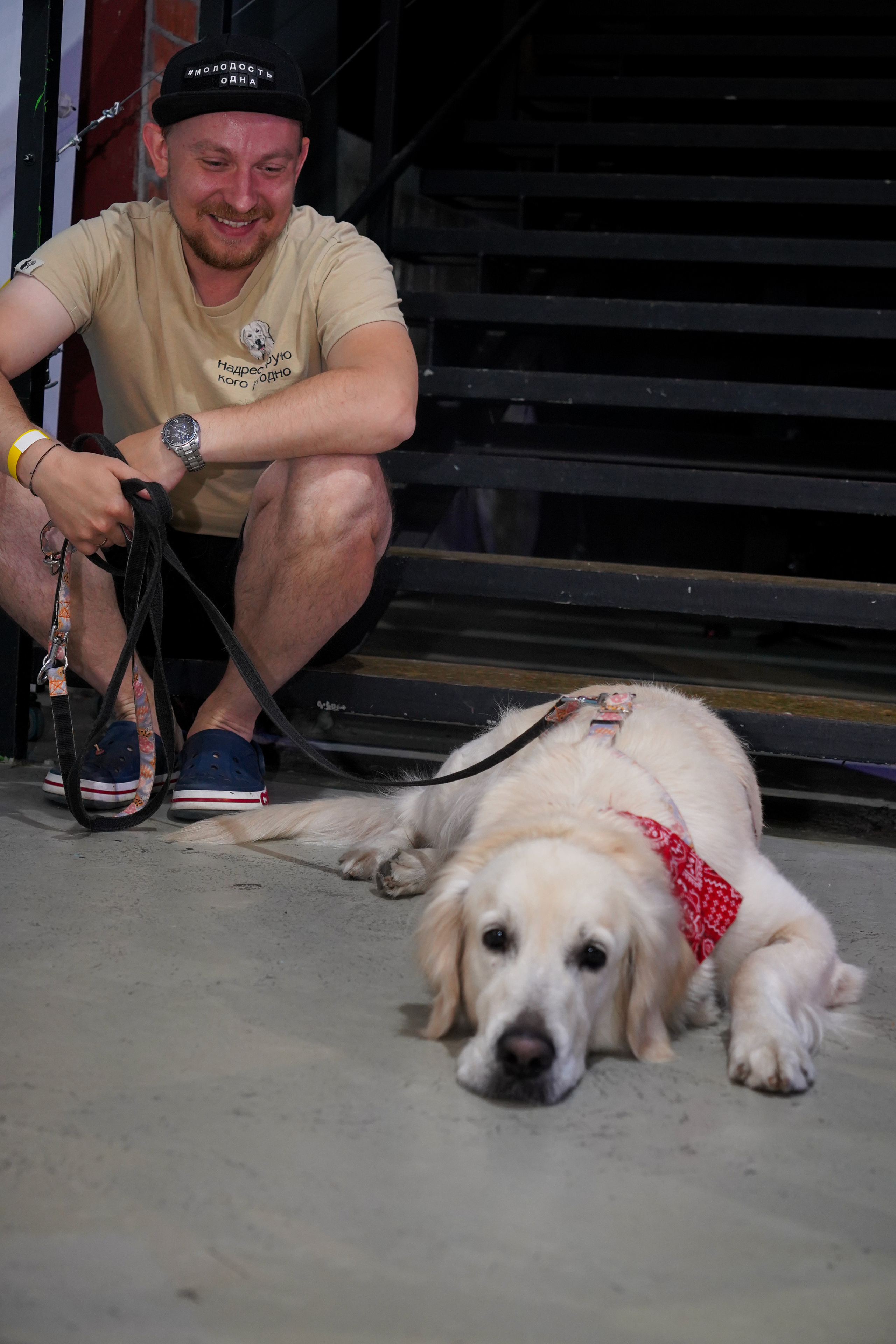 Песолекторий. Главная