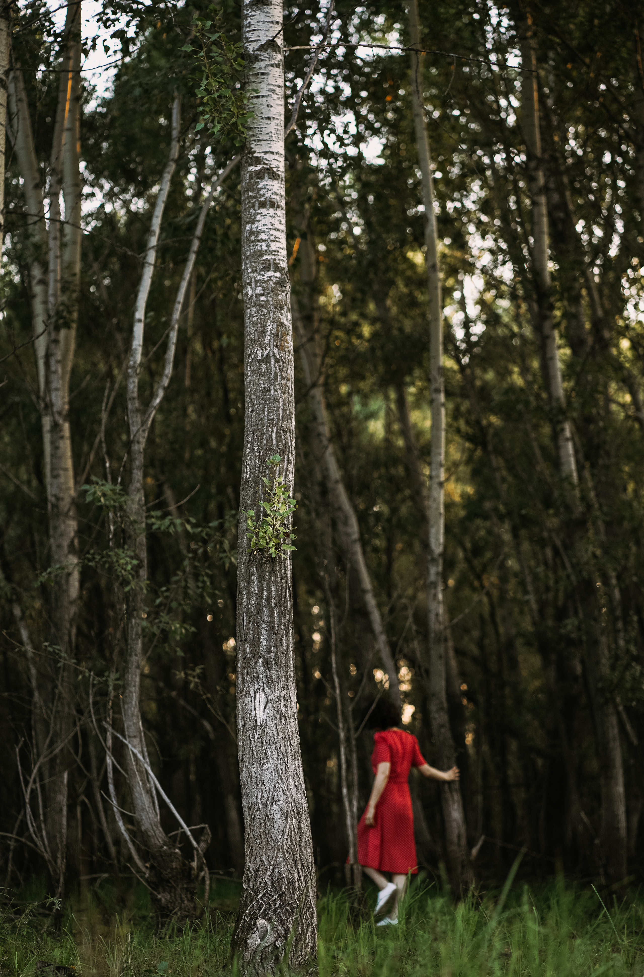 Настя. Главная