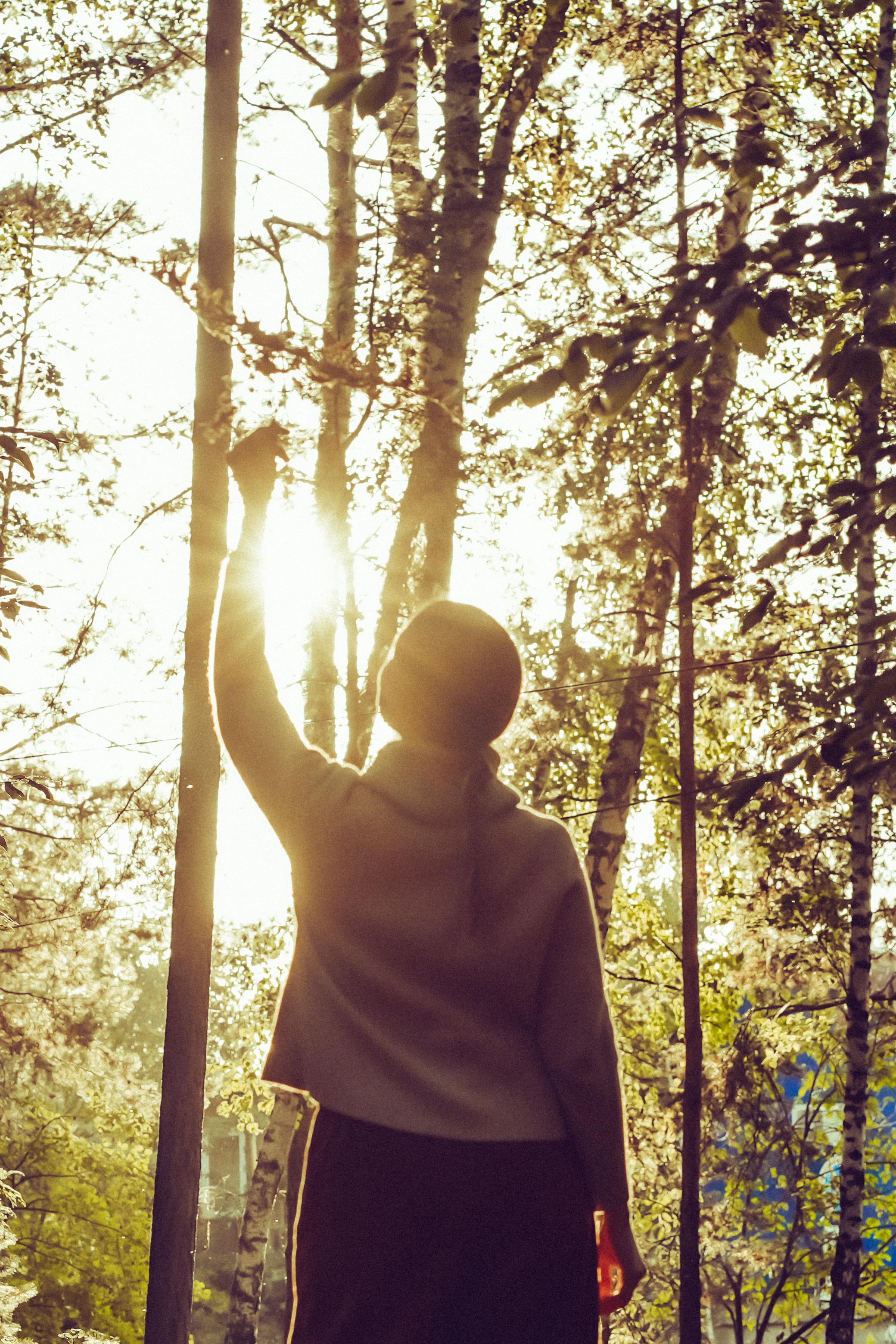 Валентина. Главная