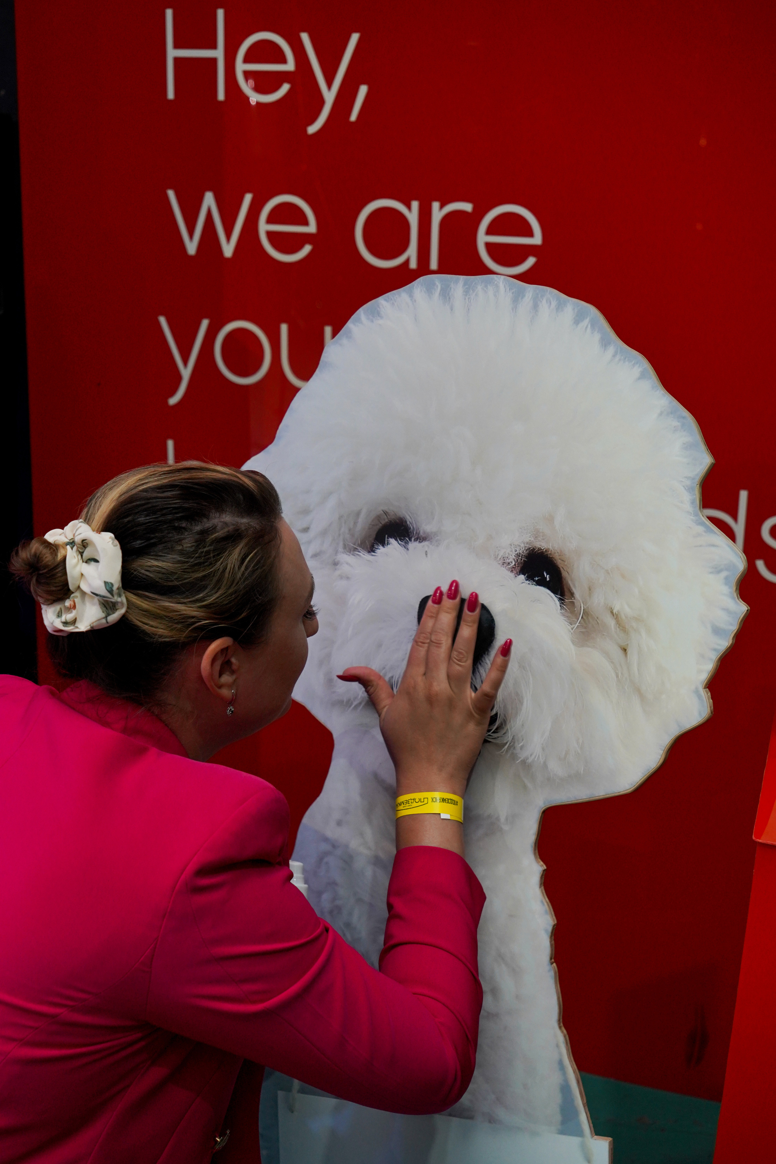 Песолекторий. Главная