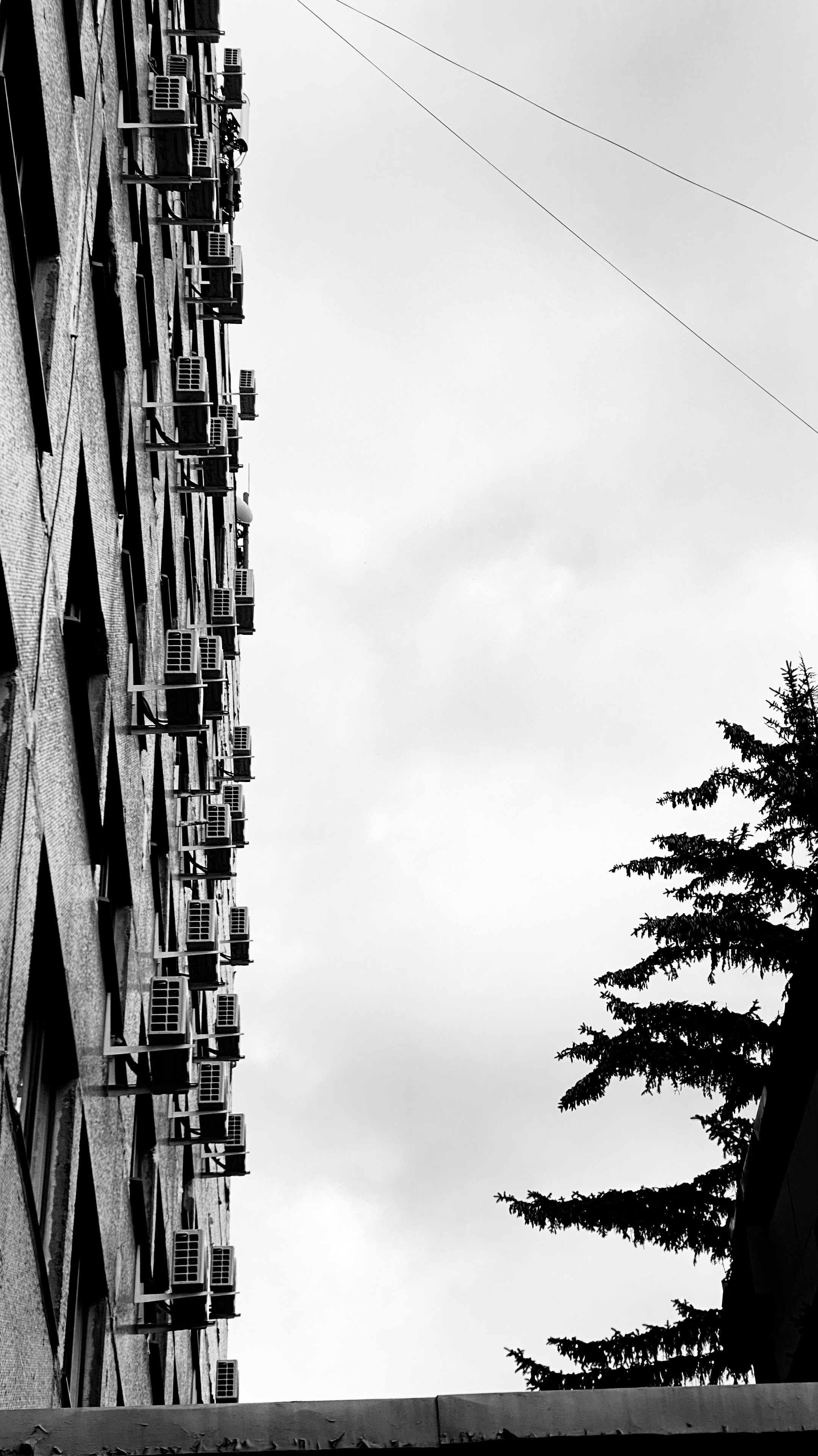 Мобильное фото. Фотограф в Москве Айгуль Евграфова