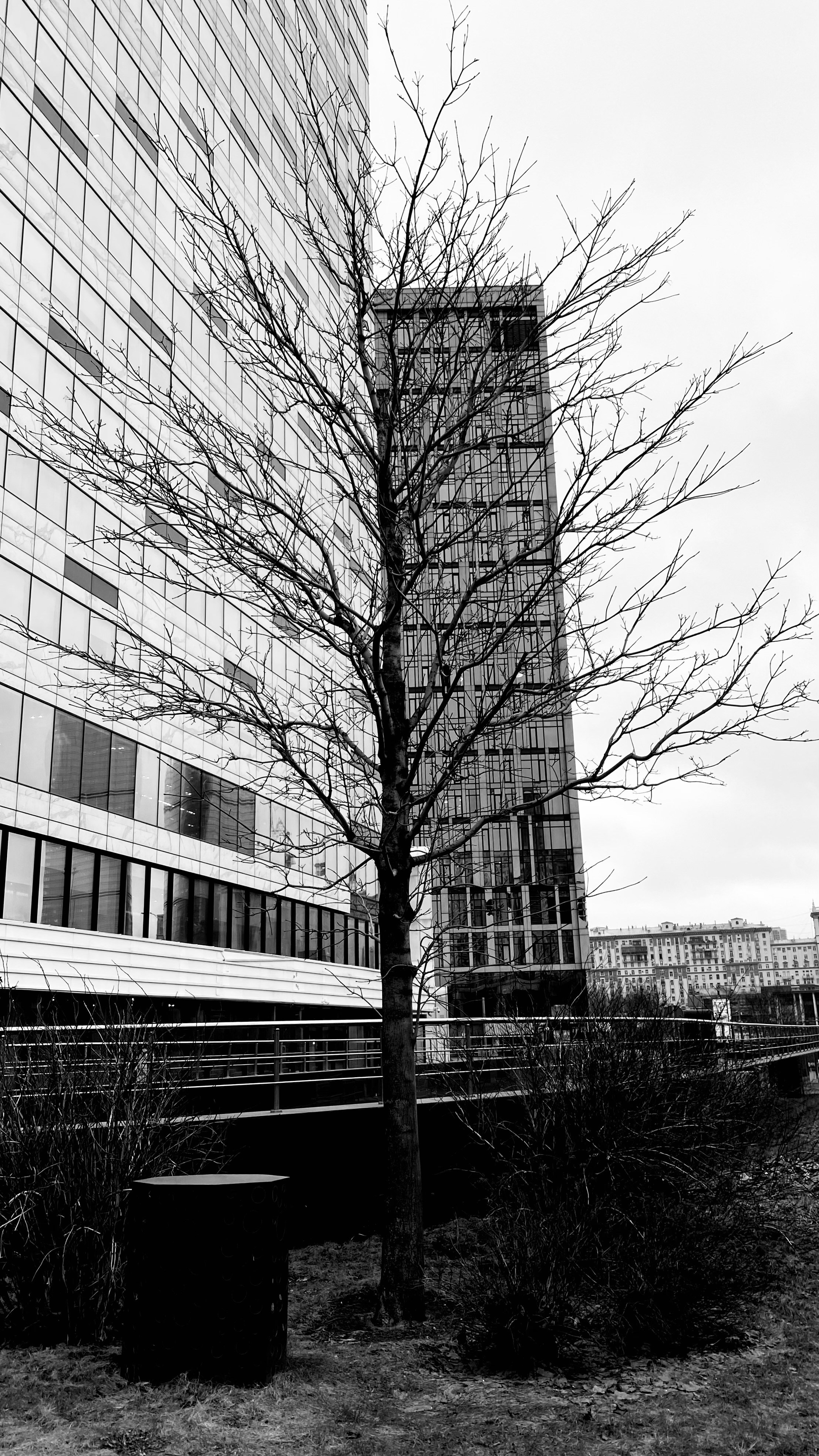 Мобильное фото. Фотограф в Москве Айгуль Евграфова