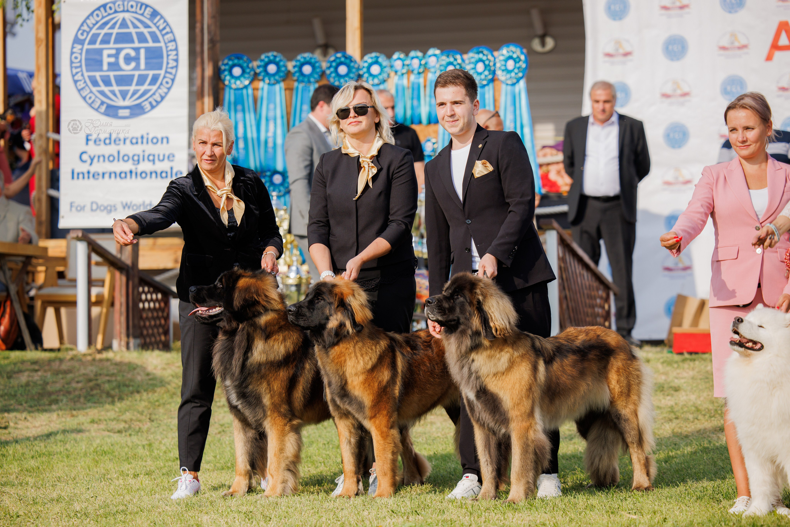 Армения,Ереван 3хCACIB 15-17.10.2024. Фотограф-анималист Юлия Германика