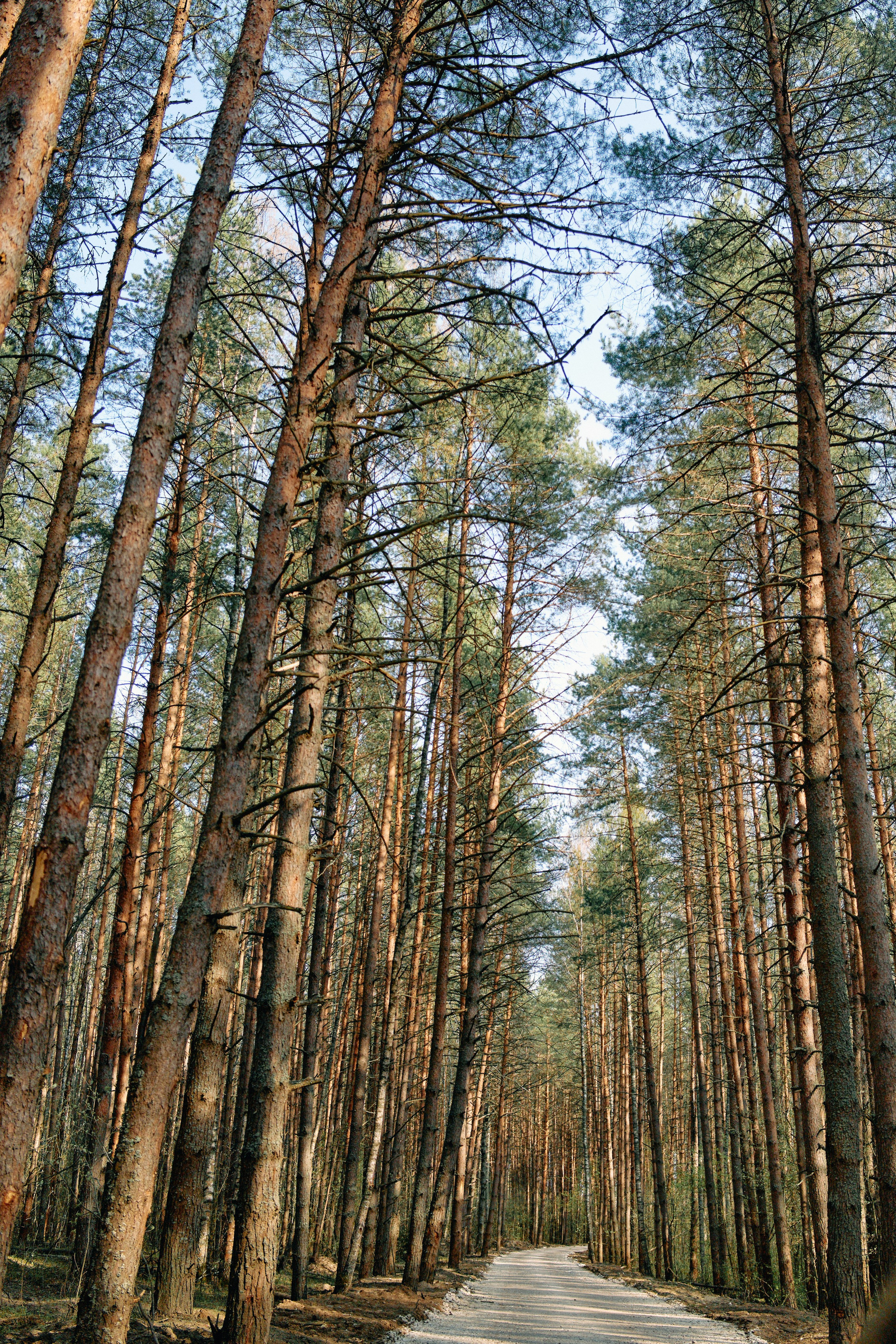 Бутик-отель Поле летом. Профессиональный Фотограф во Владимире, в Москве и в Суздале — Полина Романычева