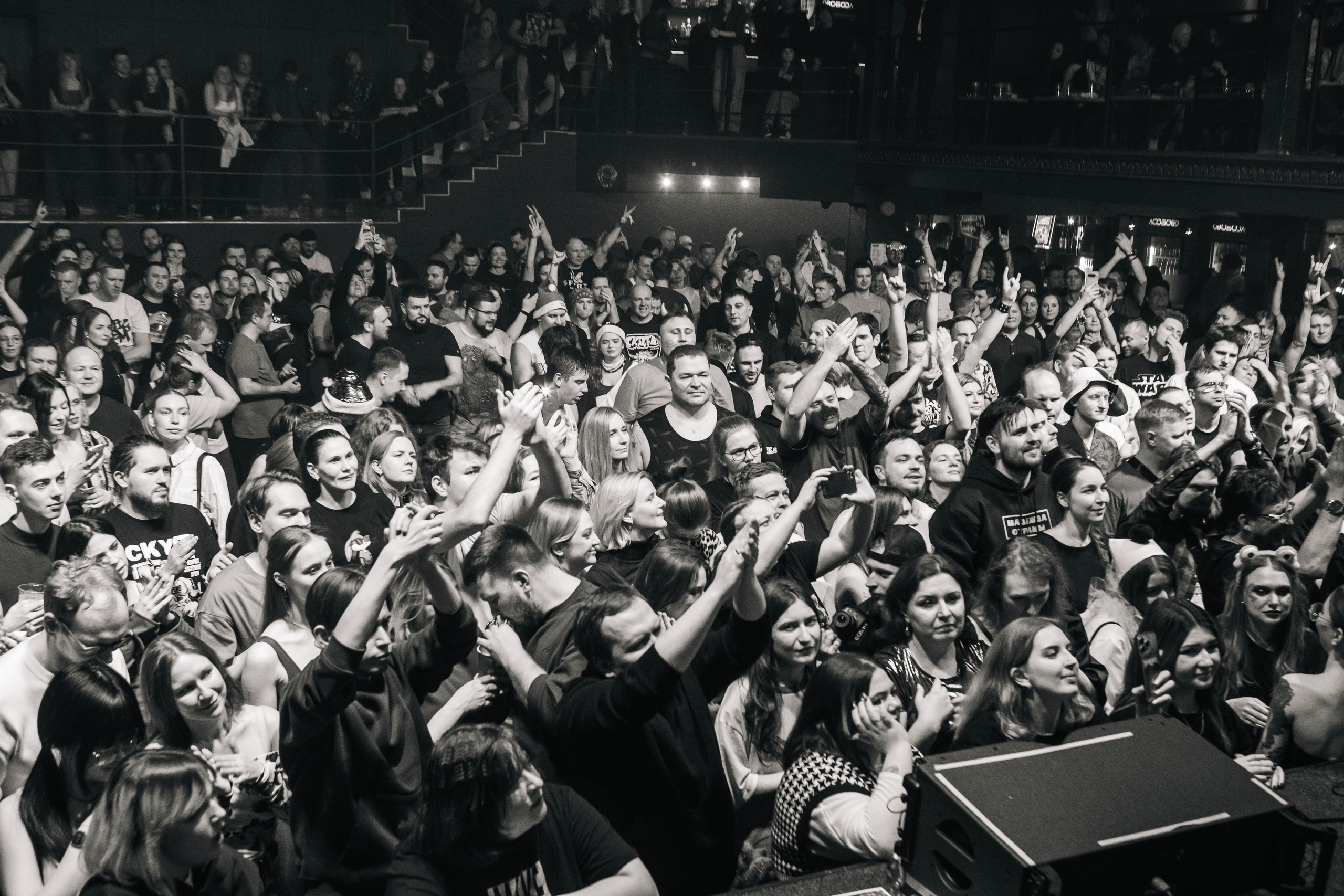 СКОТЫ 20.12.2025. Репортажный и портретный фотограф Михаил Мартиросян