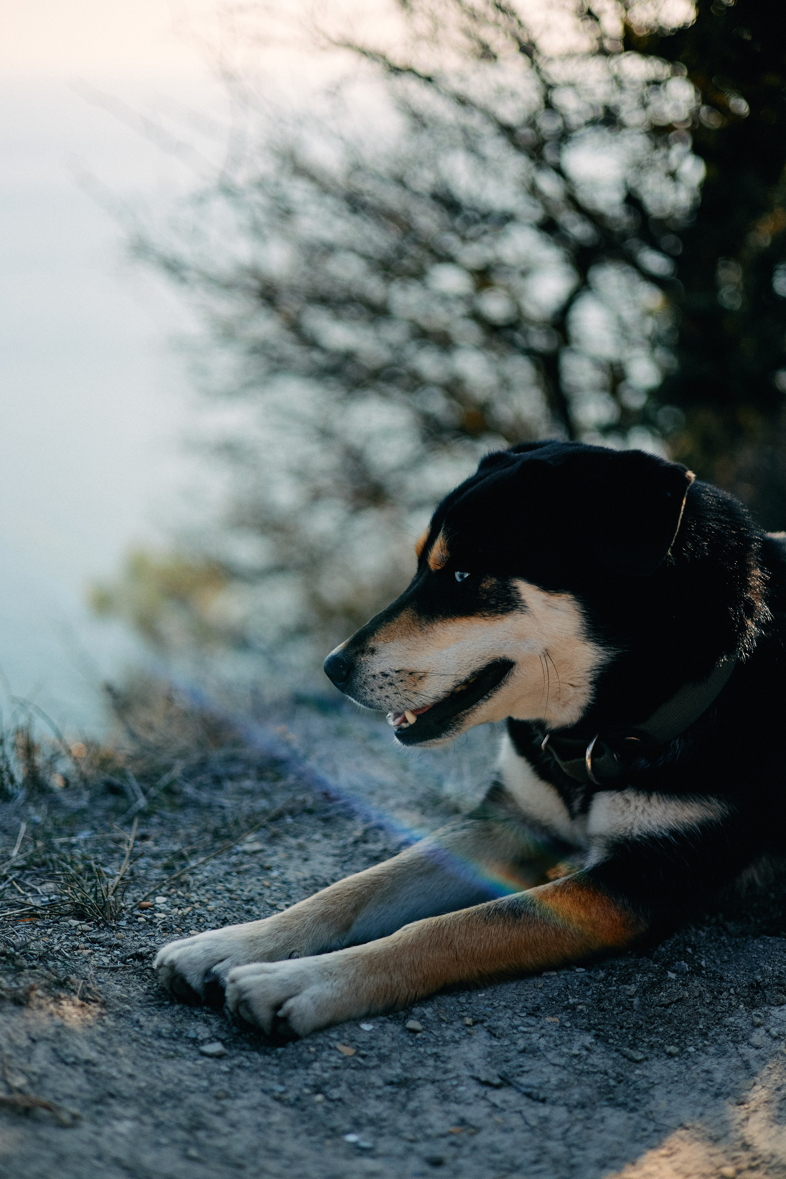 Юг России. Профессиональный Фотограф во Владимире, в Москве и в Суздале — Полина Романычева