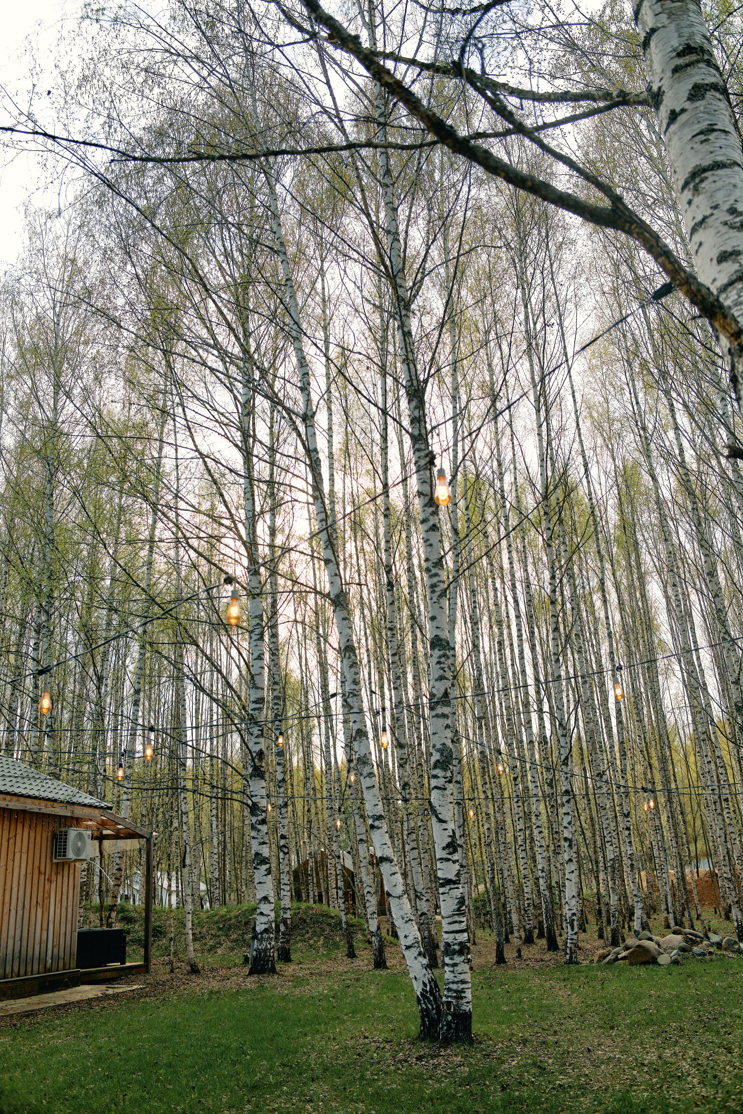 Бутик-отель Поле летом. Профессиональный Фотограф во Владимире, в Москве и в Суздале — Полина Романычева