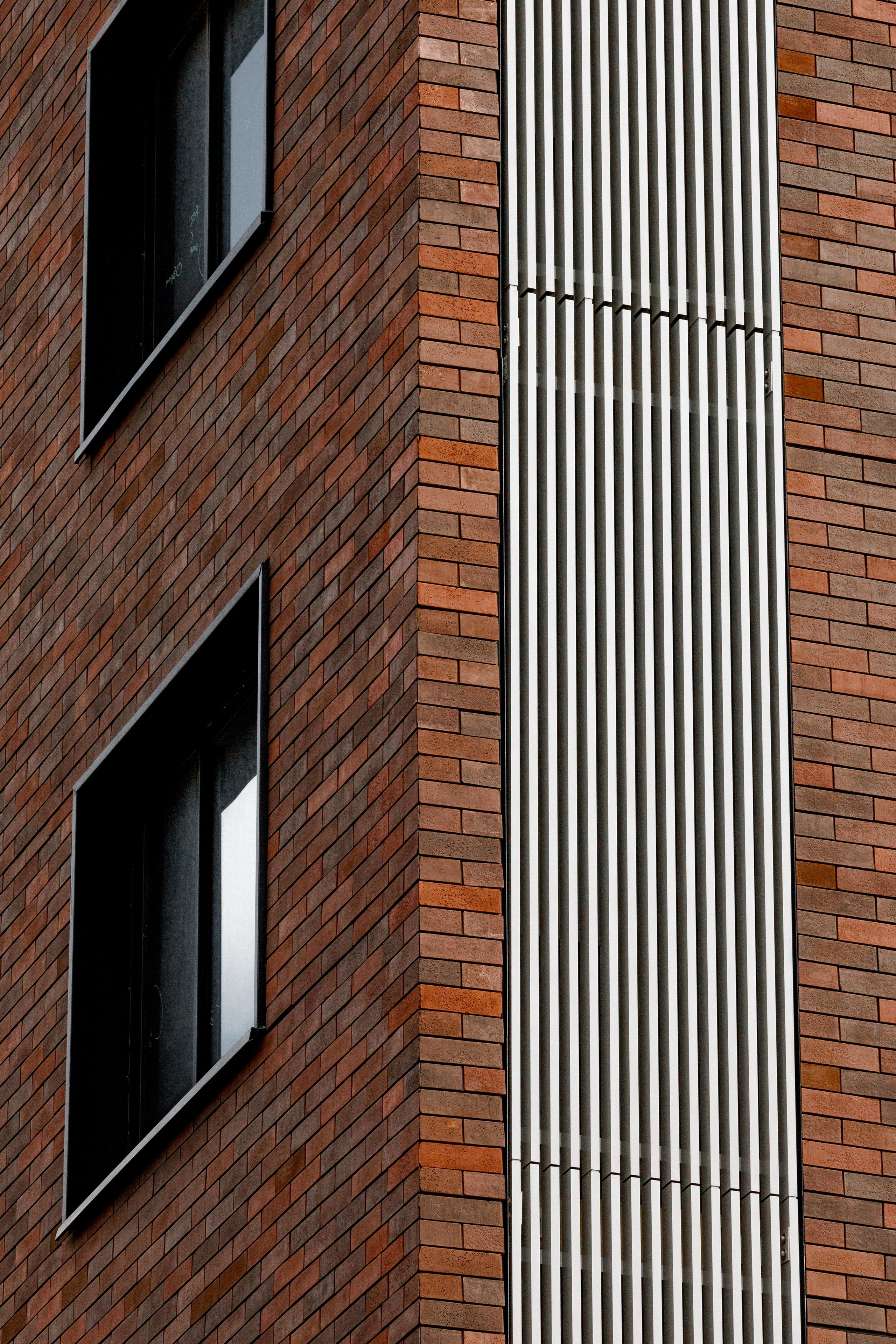 РЕНОВАЦИЯ — РУСАКОВА. АЛТ Портфолио