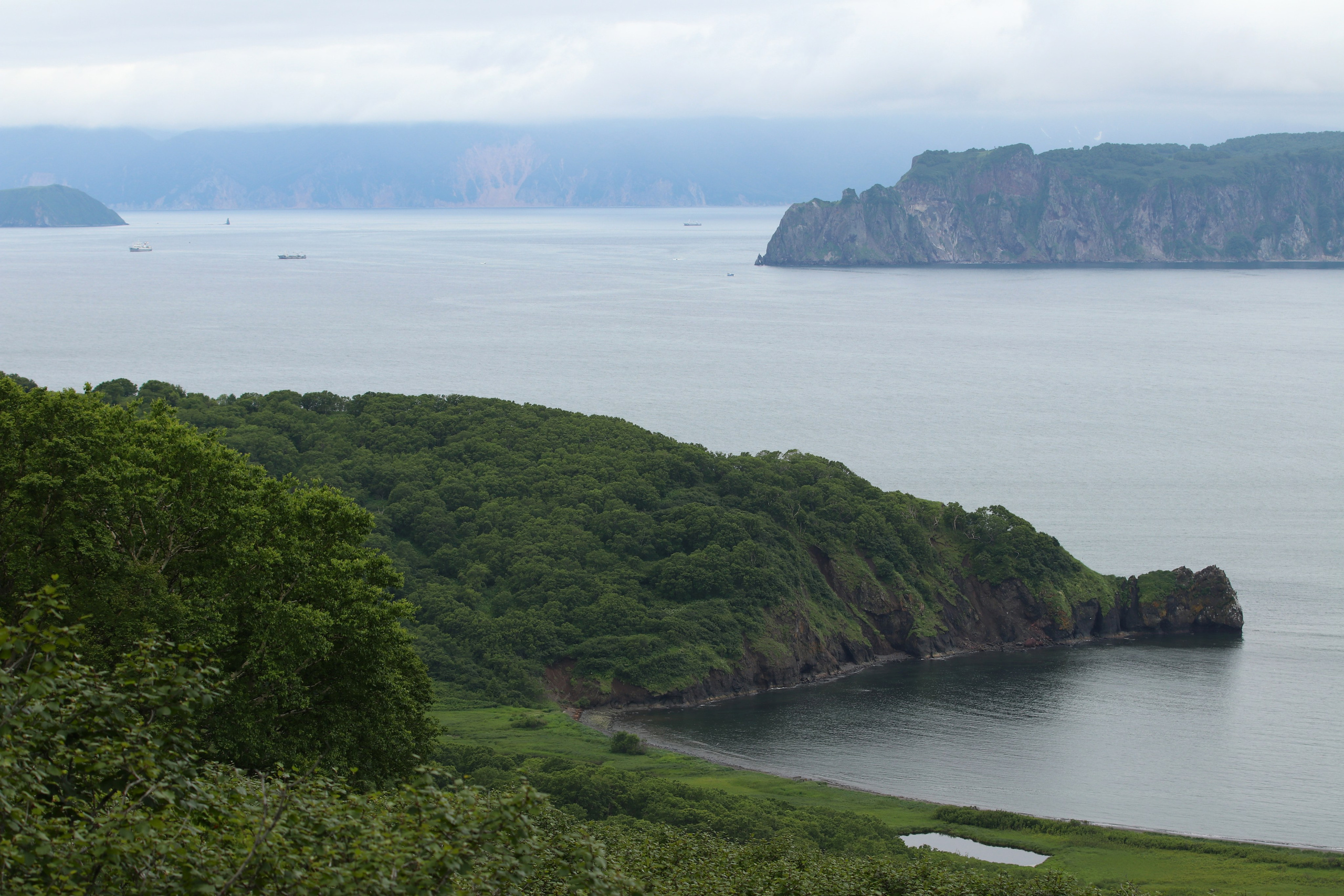 Камчатка и о. Парамушир. Июль 2024. Путешественник-фотограф из Санкт-Петербурга Татьяна Свистулина