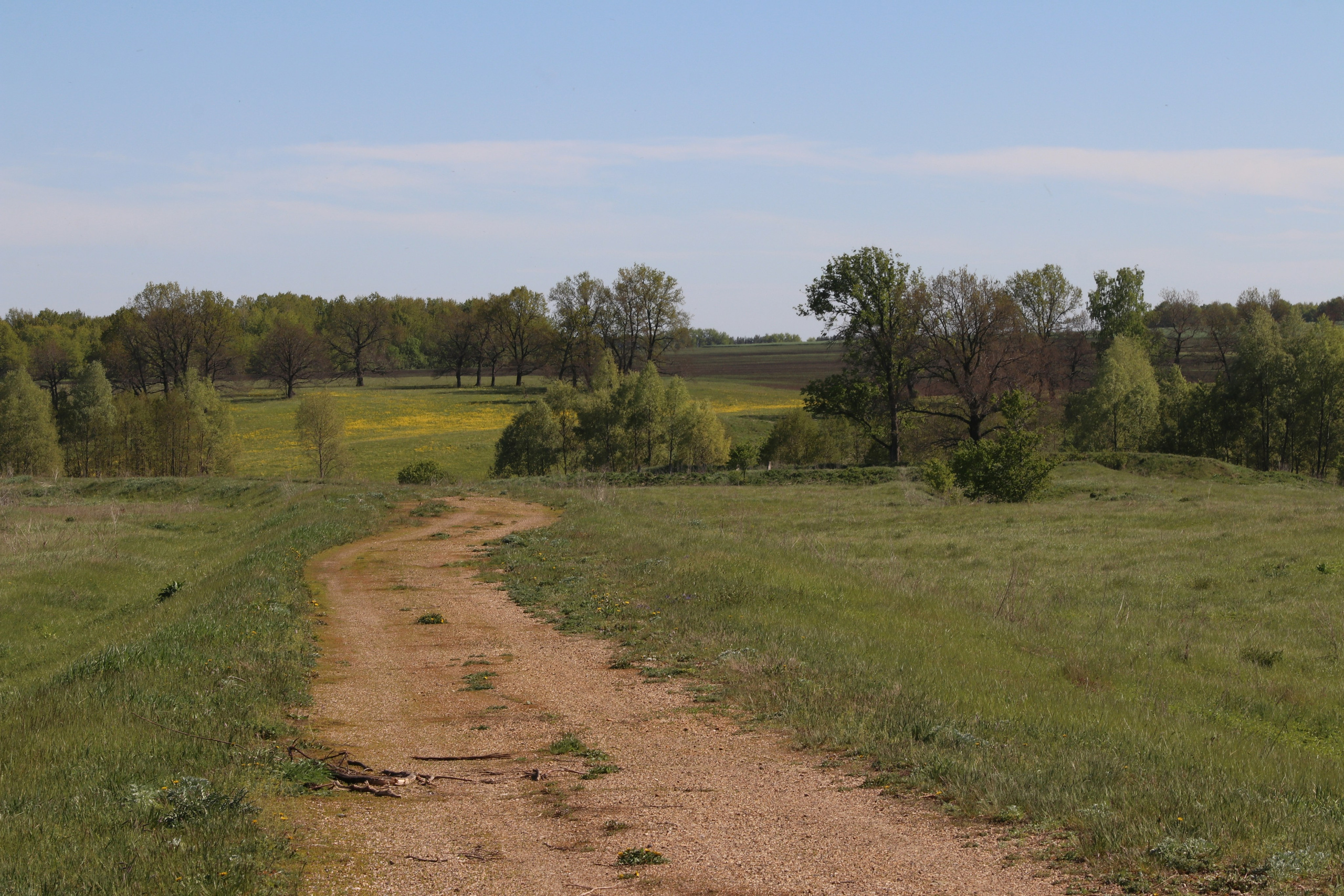 Велопоход Уфа — Мелеуз. Май 2024. Путешественник-фотограф из Санкт-Петербурга Татьяна Свистулина