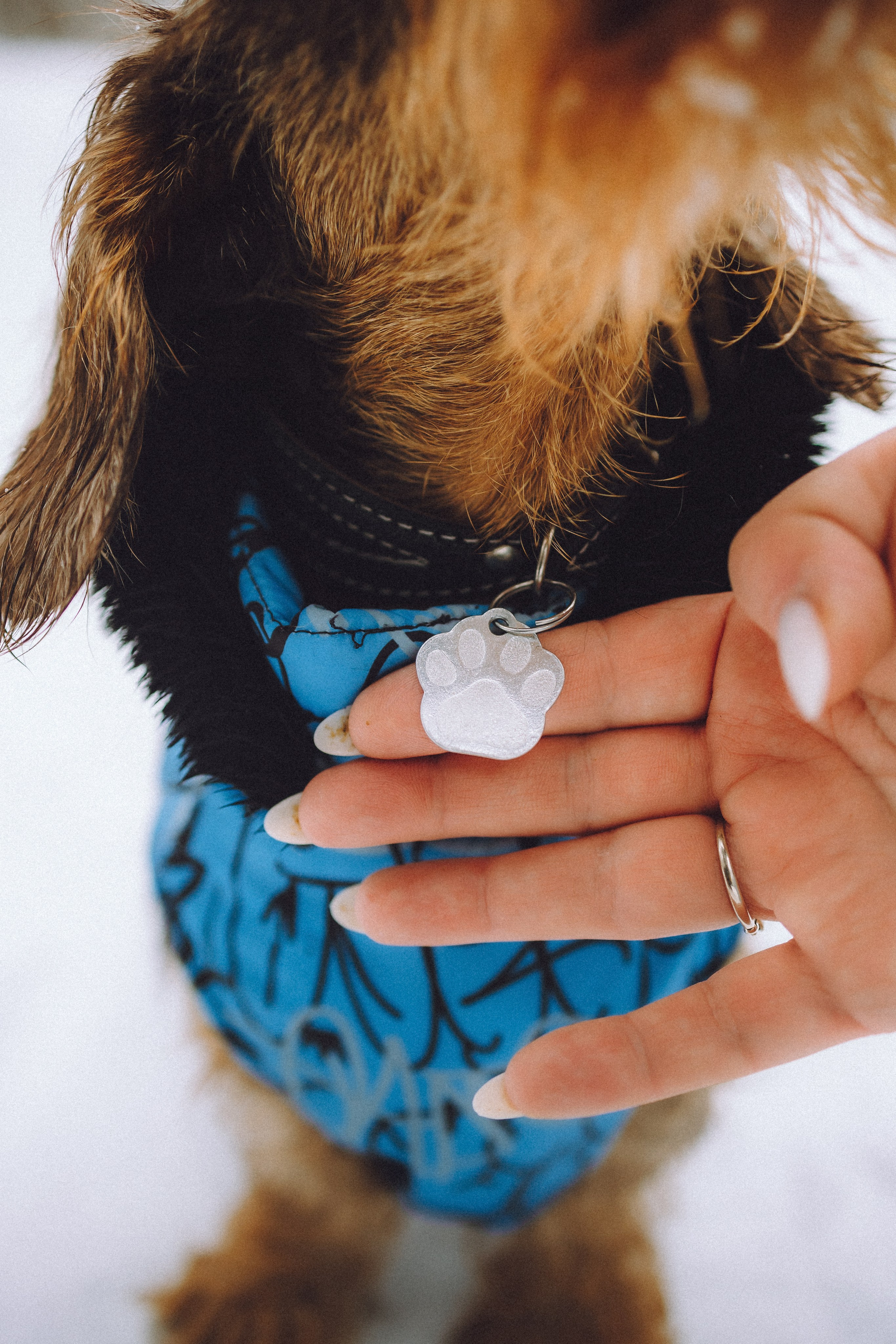 Каспер и его семья