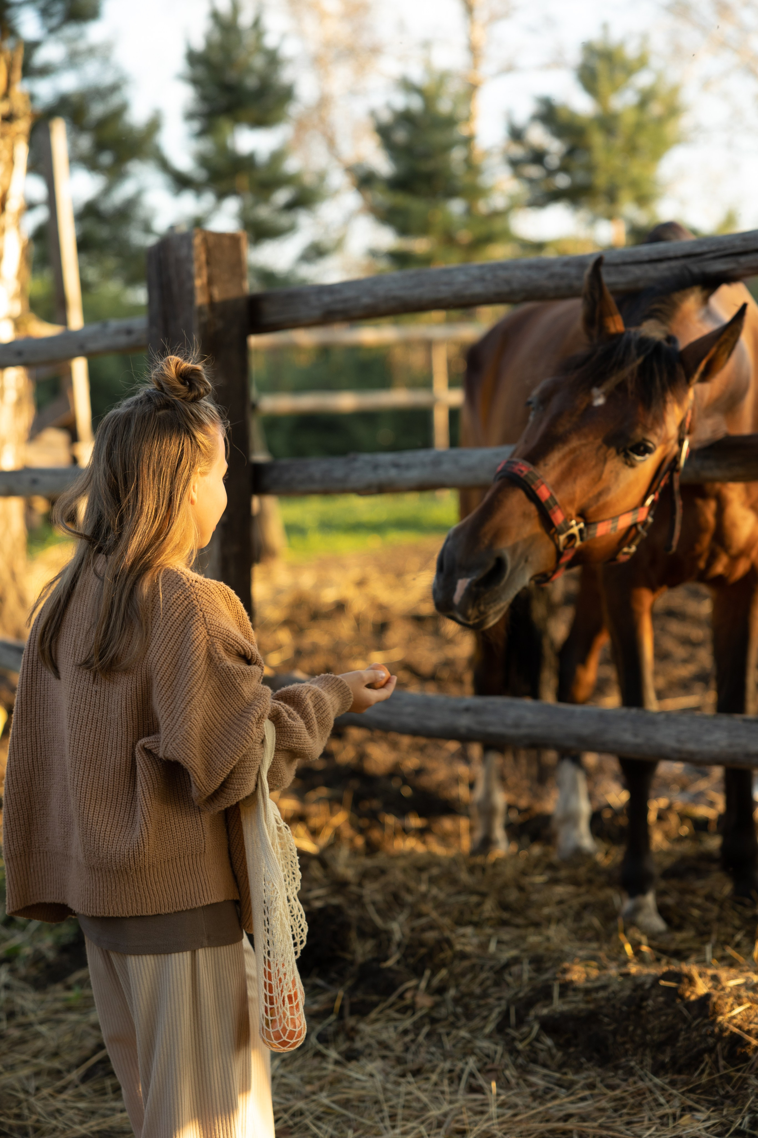 Прогулка на конюшне. Семейный и женский фотограф, стильный репортаж в г. Новосибирск