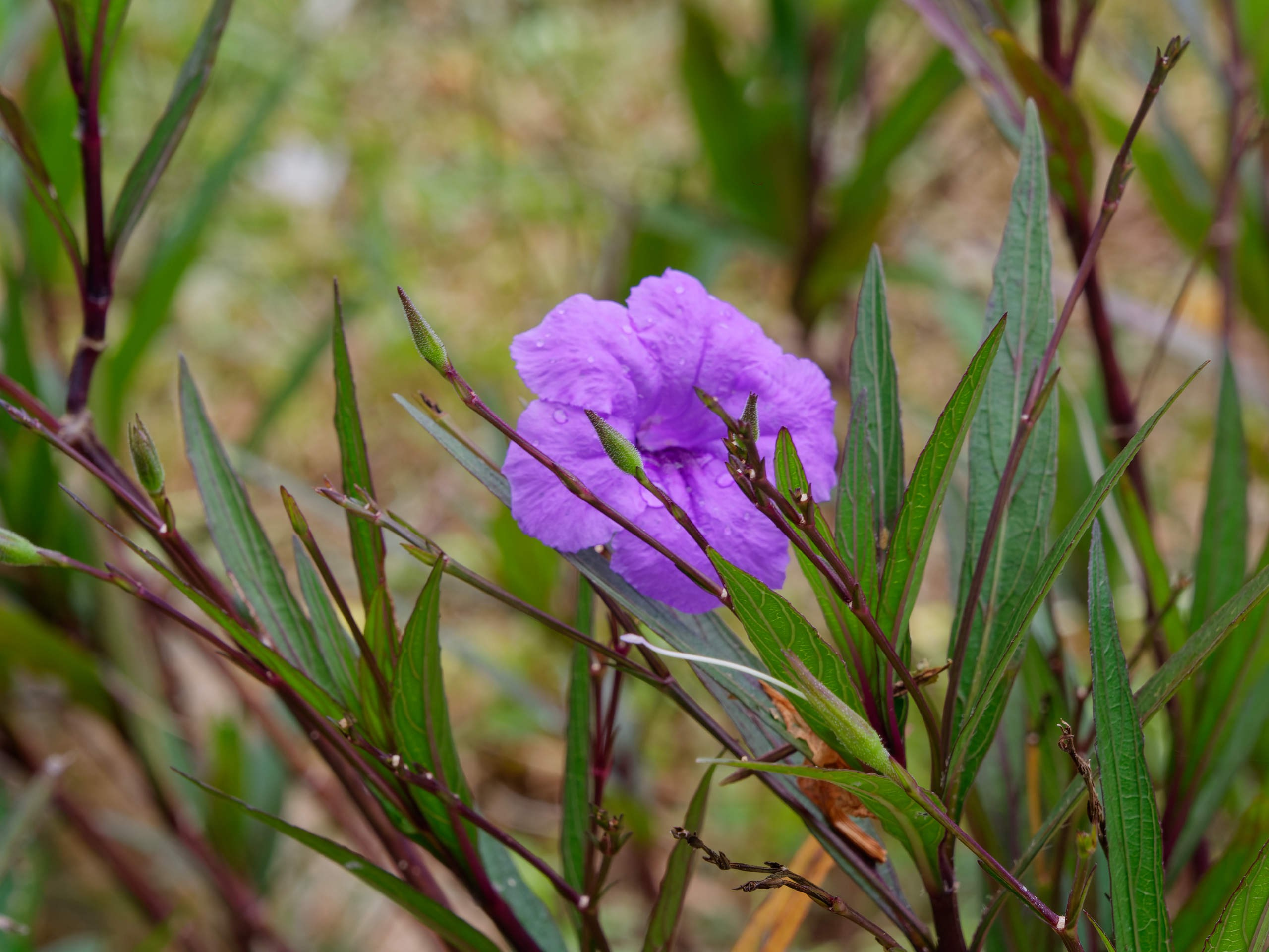 Нячанг 2025 (4). Избранные фотографии