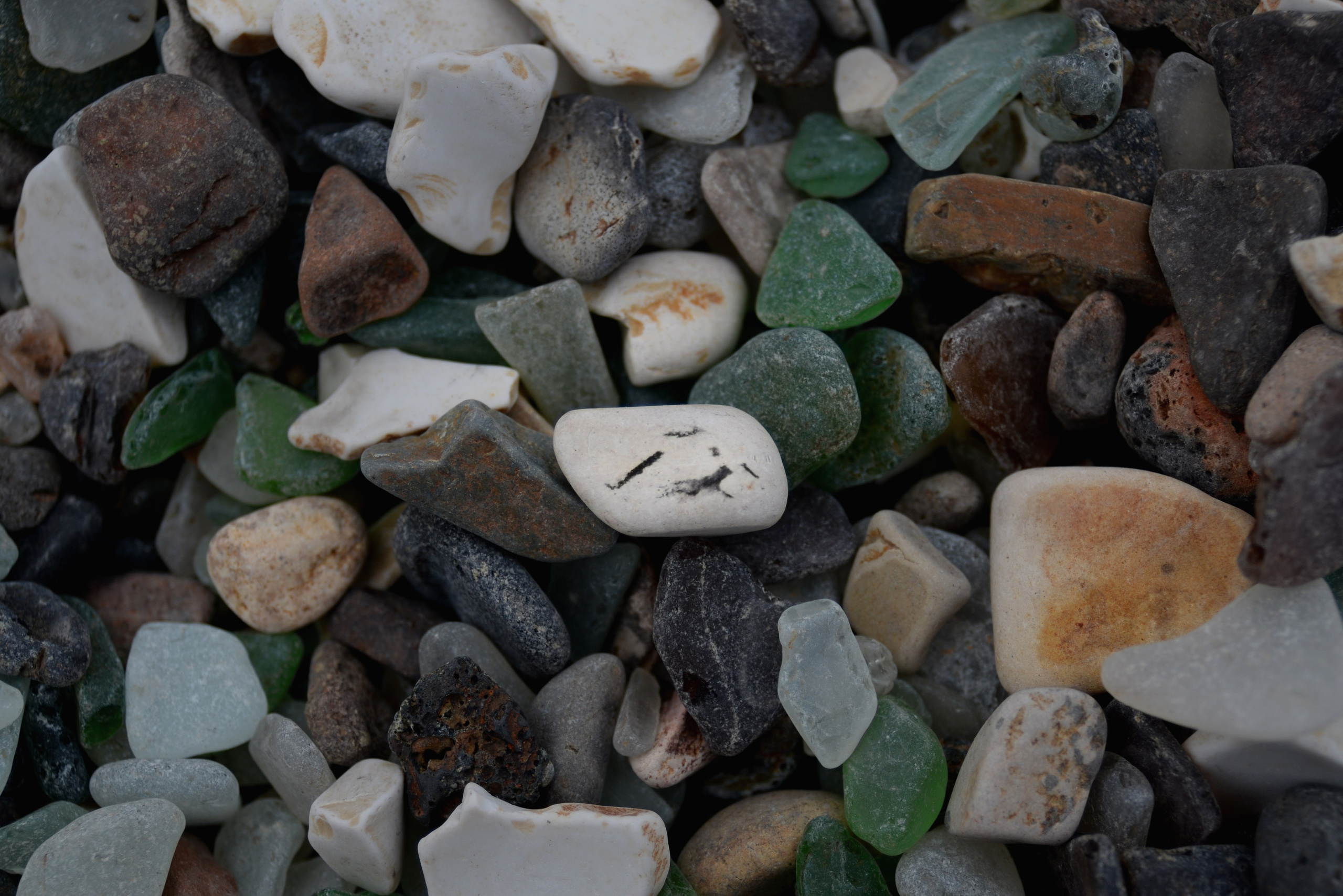 Фотожурналистика. Дарья Пянзина | фотограф |междисциплинарная художница