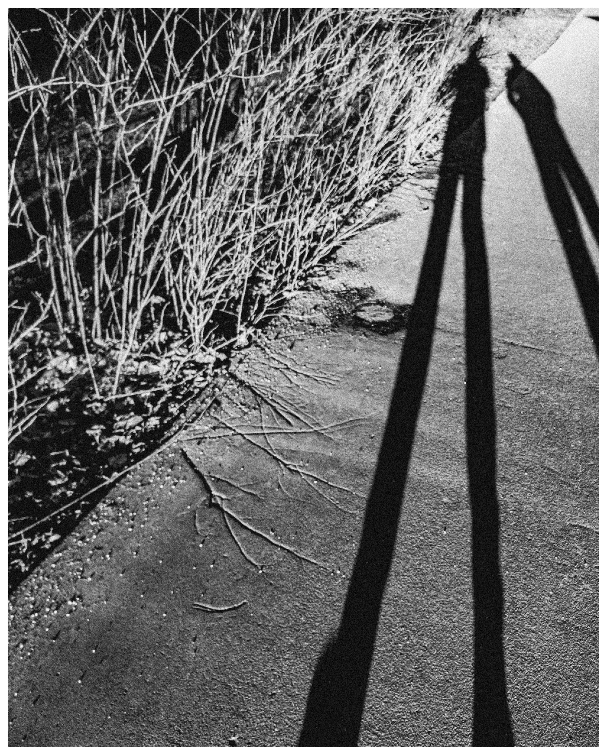 Мир повседневных Вещей. Репортажный и портретный фотограф, Влад Хафизов, Москва