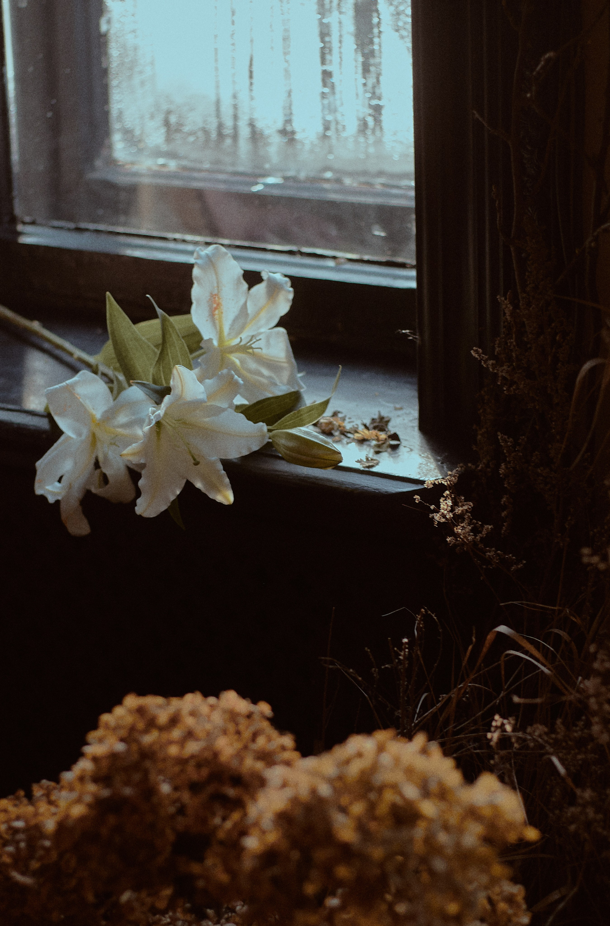 Сила. Фотограф лавстори Москва/МО Приятелева Ангелина