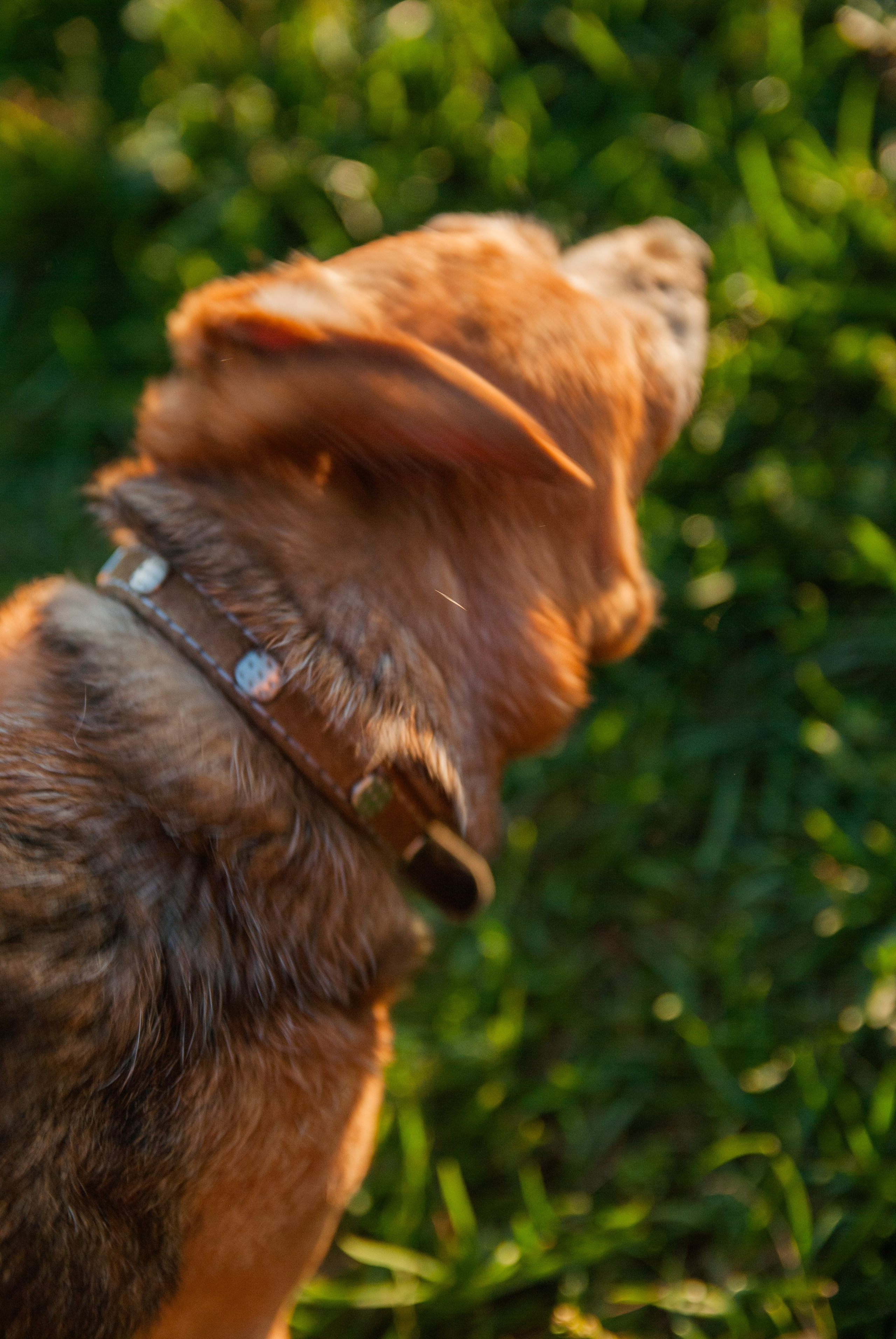 Зоопарк в моём багаже. Кошенкова Мария: портретный и репортажный фотограф. Санкт-Петербург