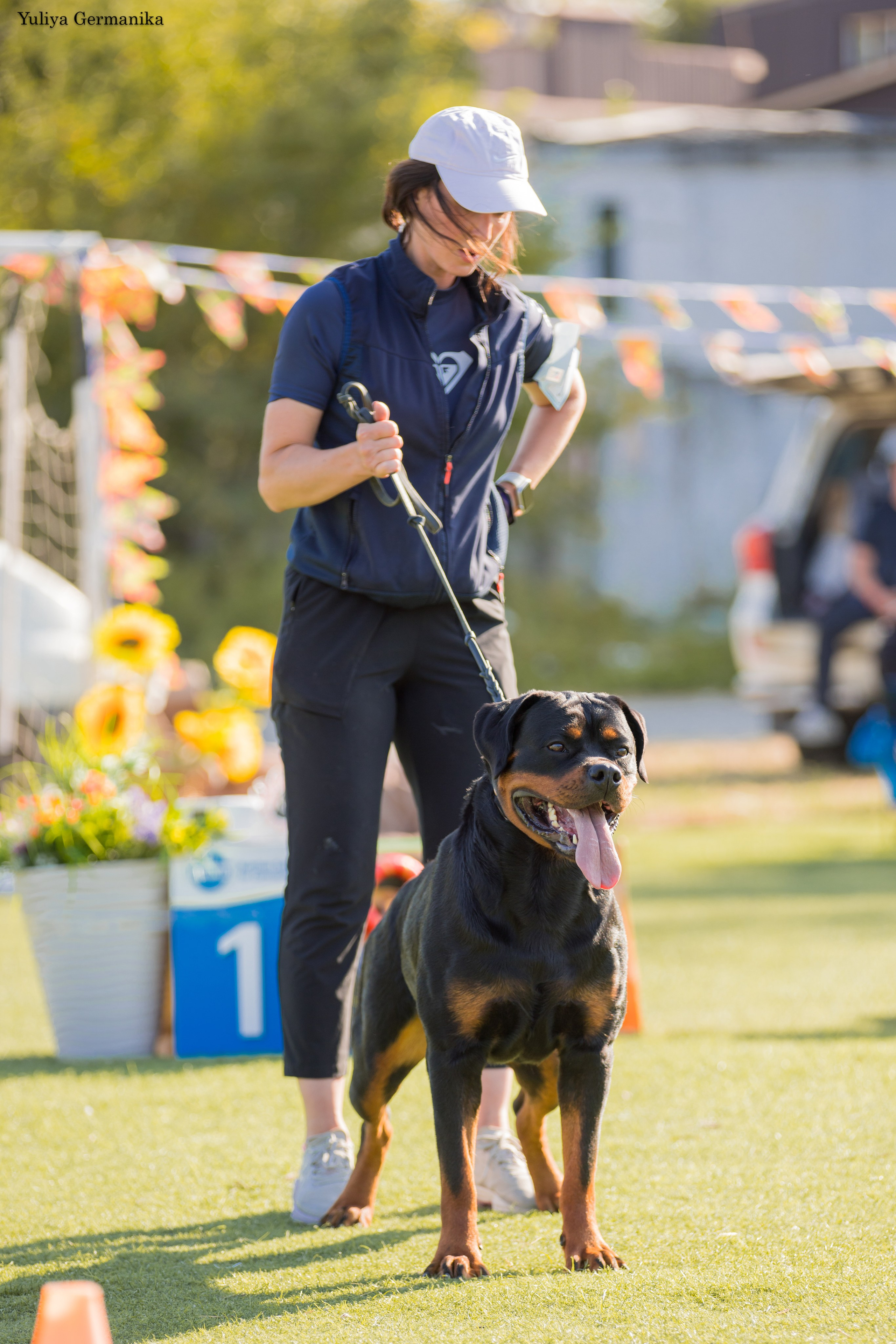 Анапа 16-17.09.2023 моно ротвейлеров. Фотограф-анималист Юлия Германика