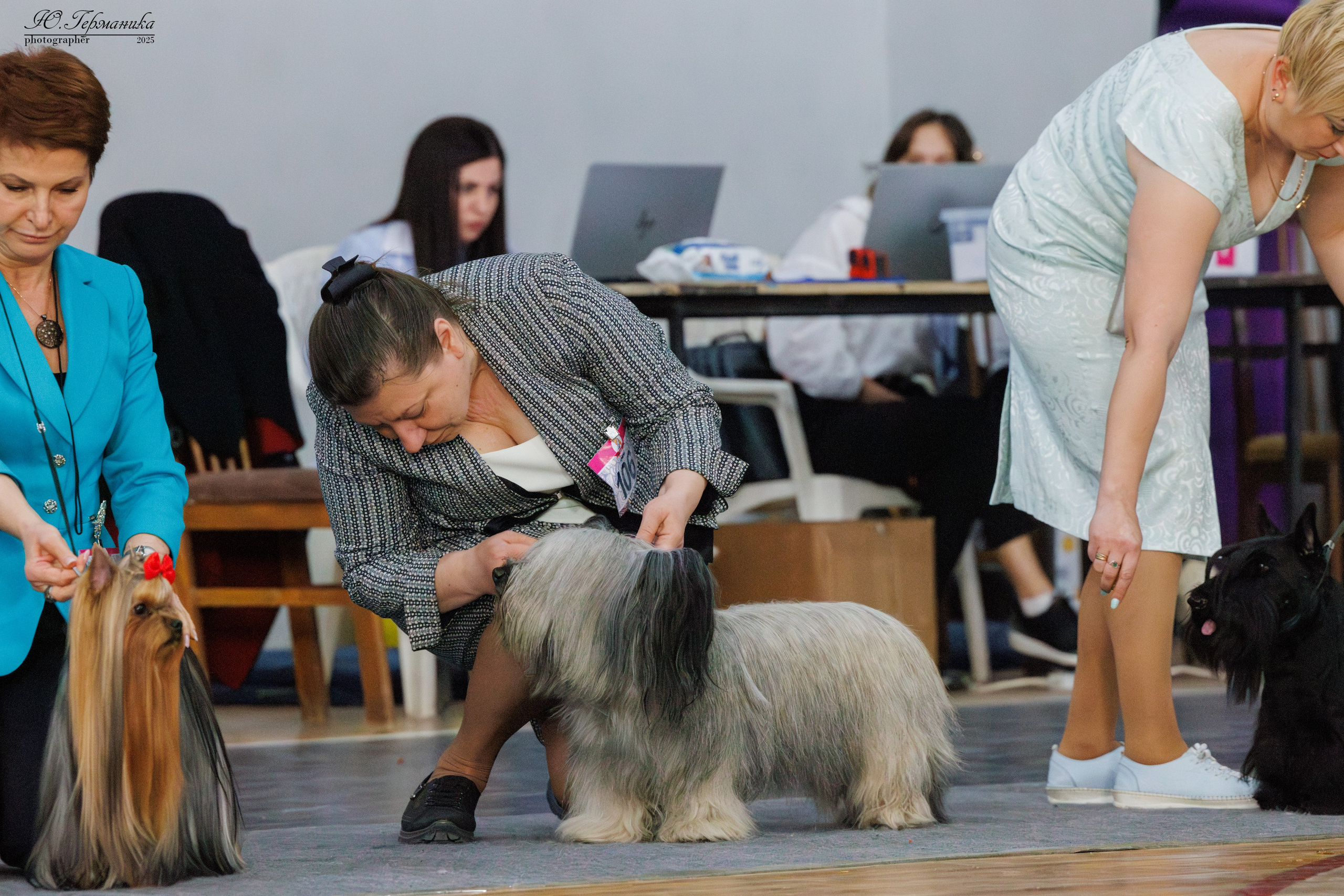 Ереван 2х CACIB 29-30.04.2025. Фотограф-анималист Юлия Германика