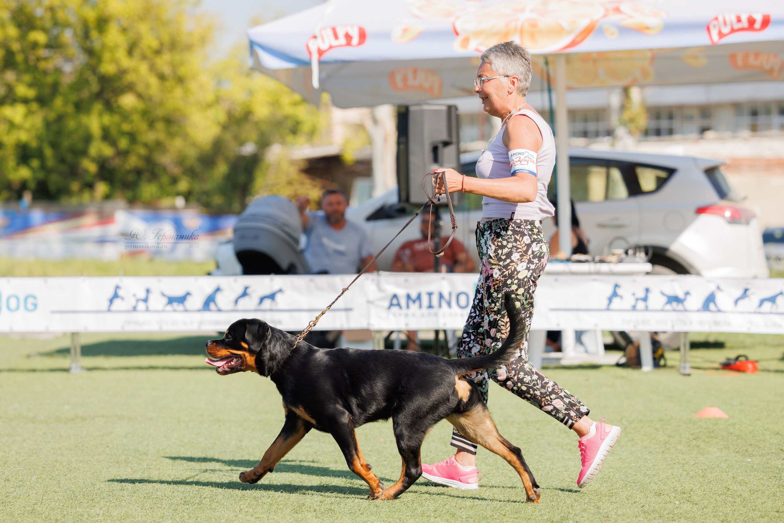 Анапа ротвейлеры 14-15.09.2024. Фотограф-анималист Юлия Германика